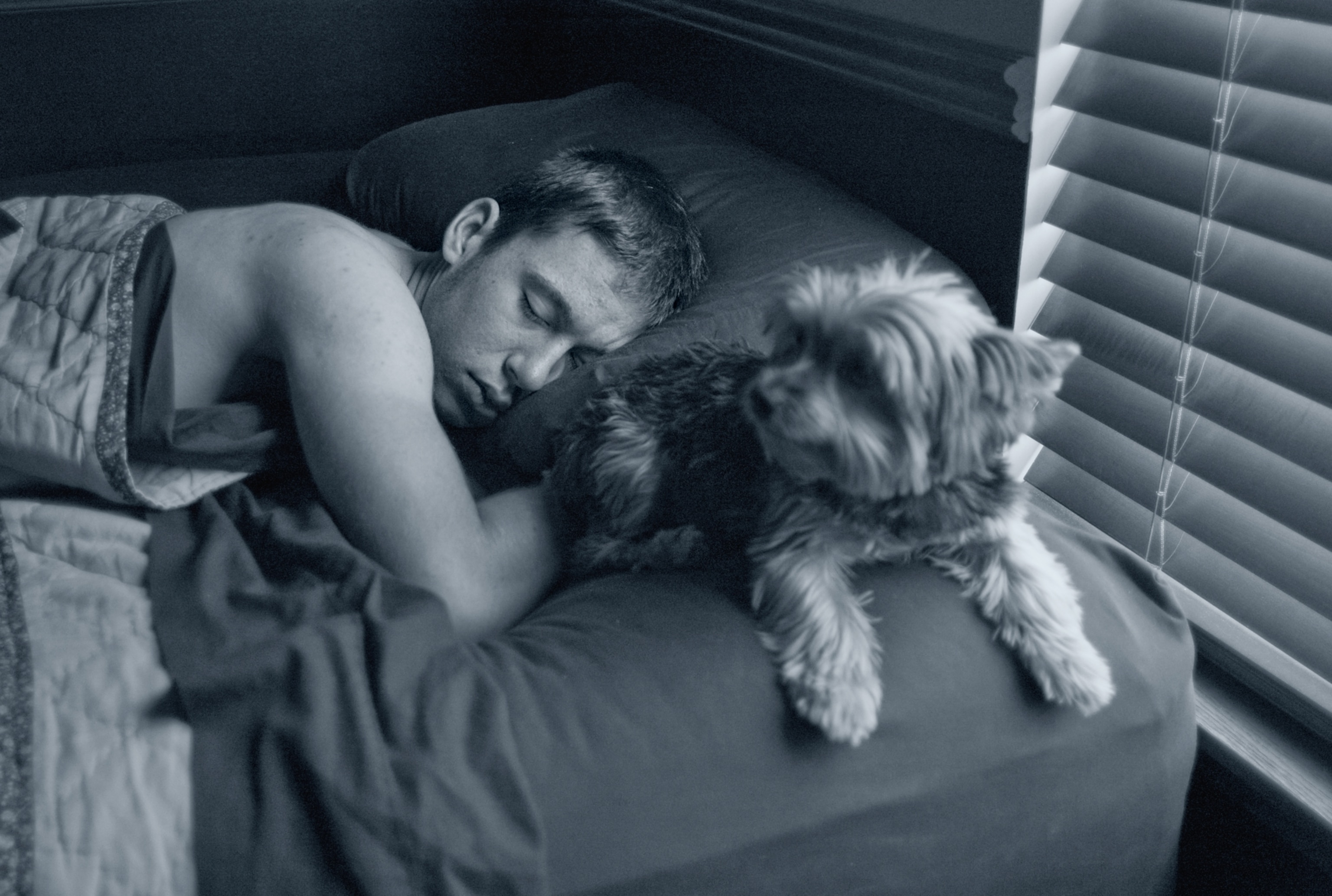 A teenage boy sleeps in bed beside a small terrier.