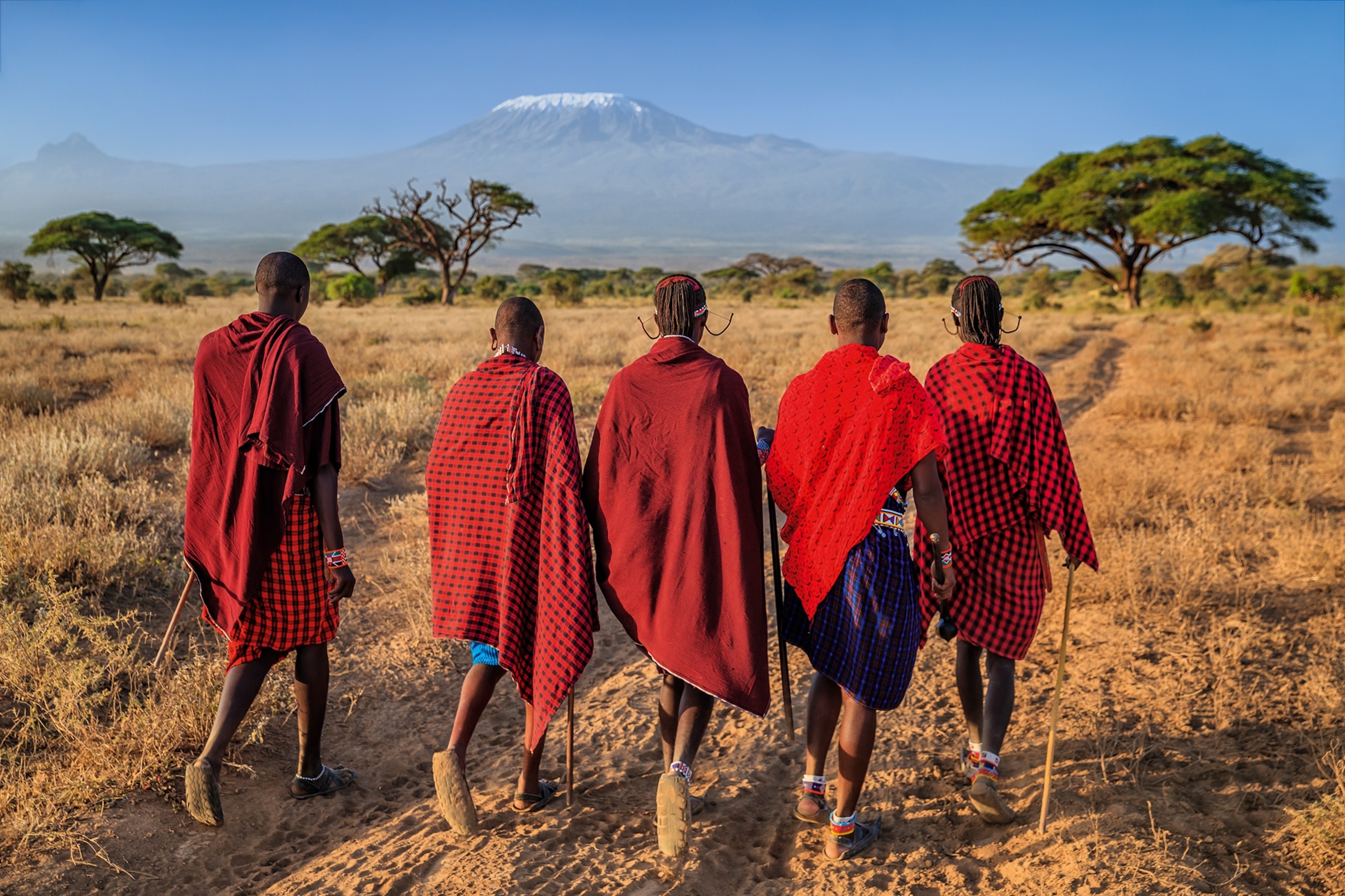 A group of Maasai tribe members walking in rural africa with their backs facing the camera, wearing wide red scarves draped around their necks