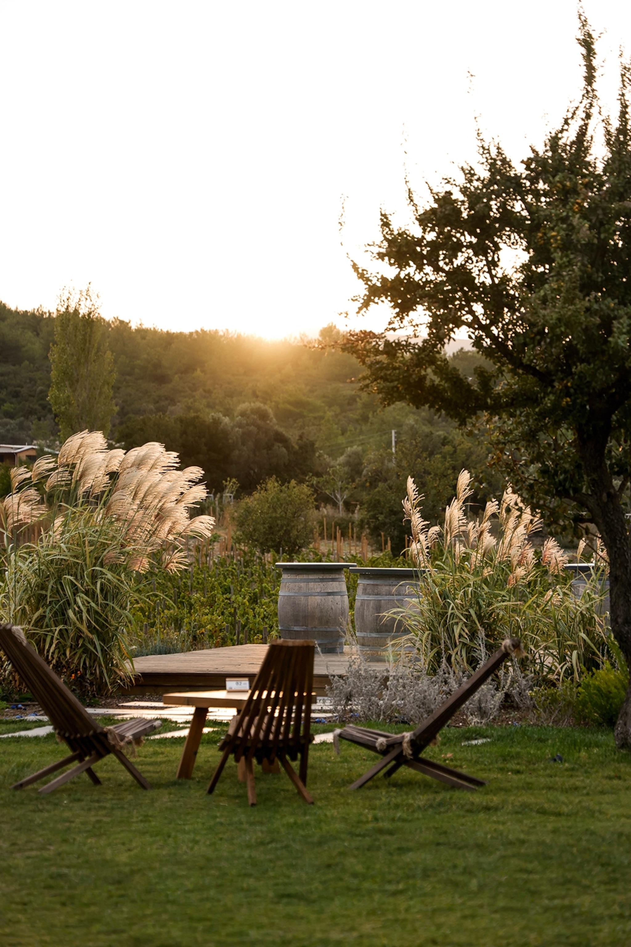 Wooden chairs in a garden while the sun sets