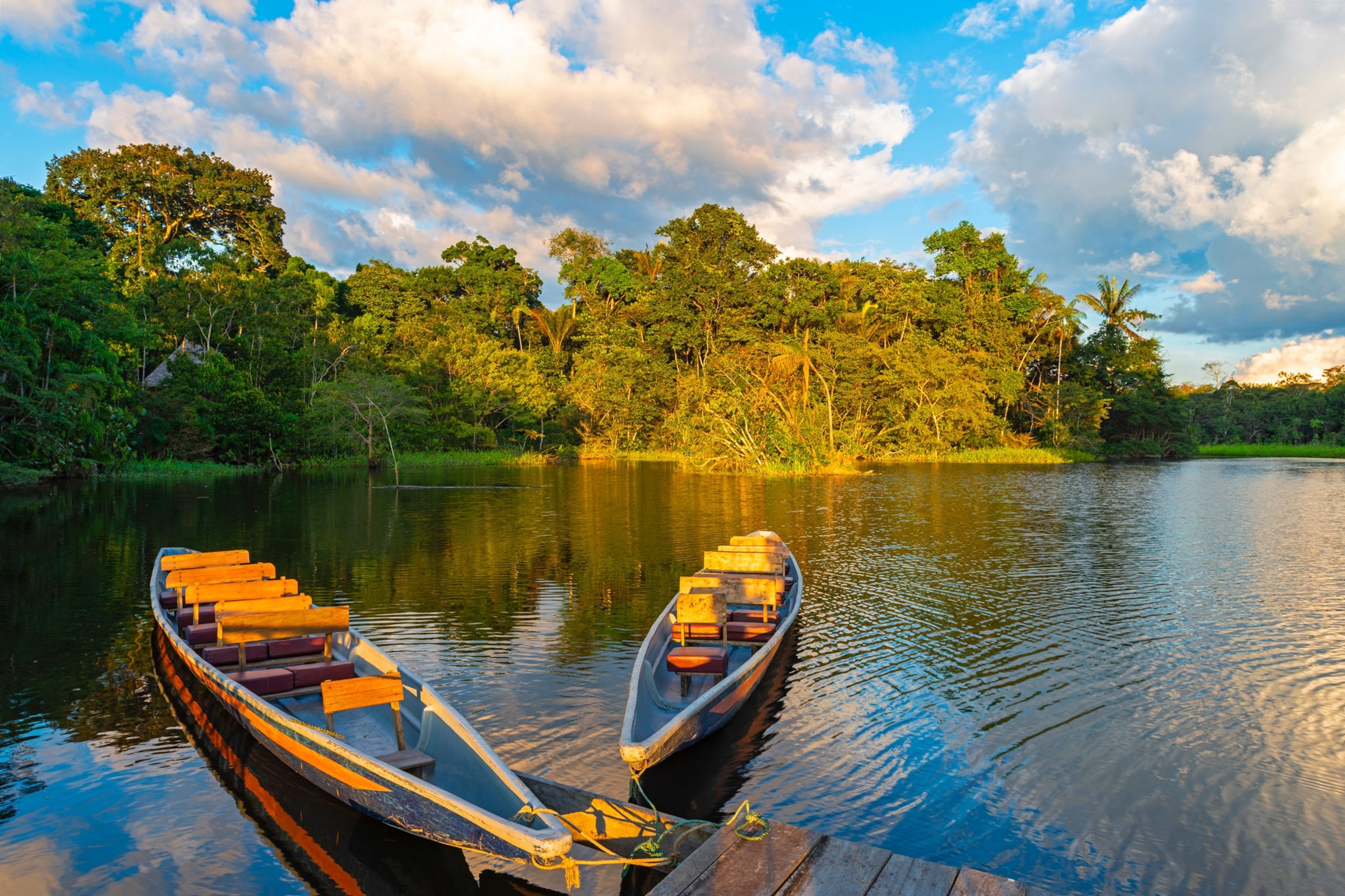 Two rowing boats morred at the edge of a river in the jungle