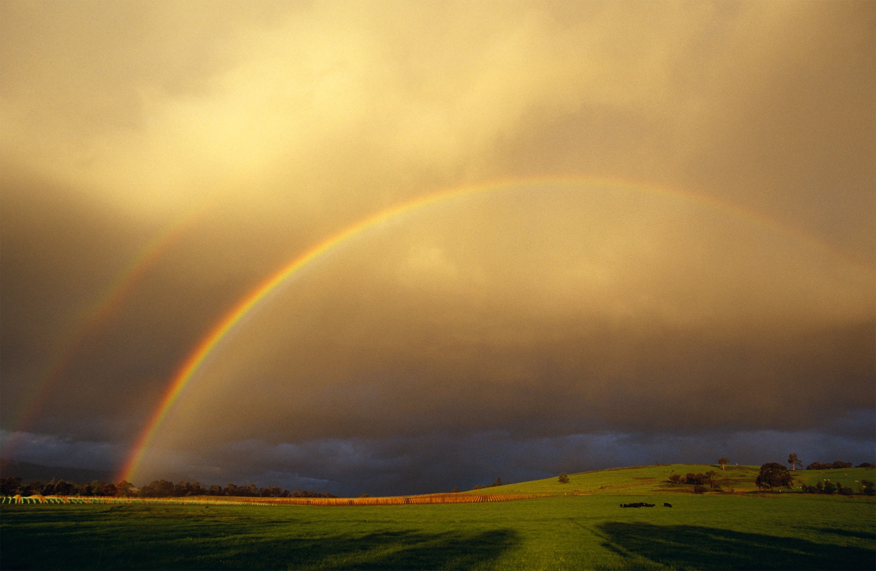 a rainbow after a storm