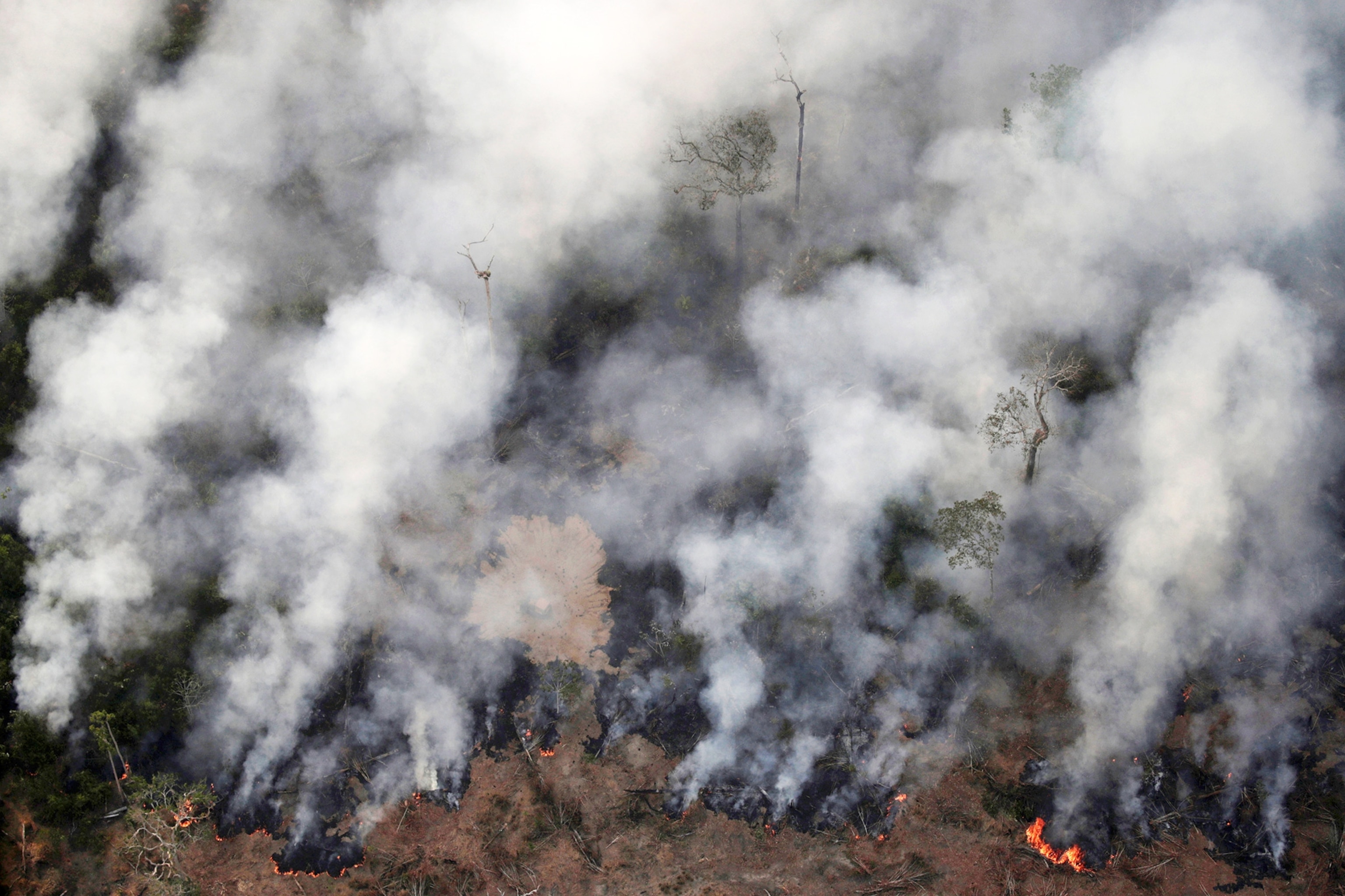 Amazon rainforest near Porto Velho on fire.