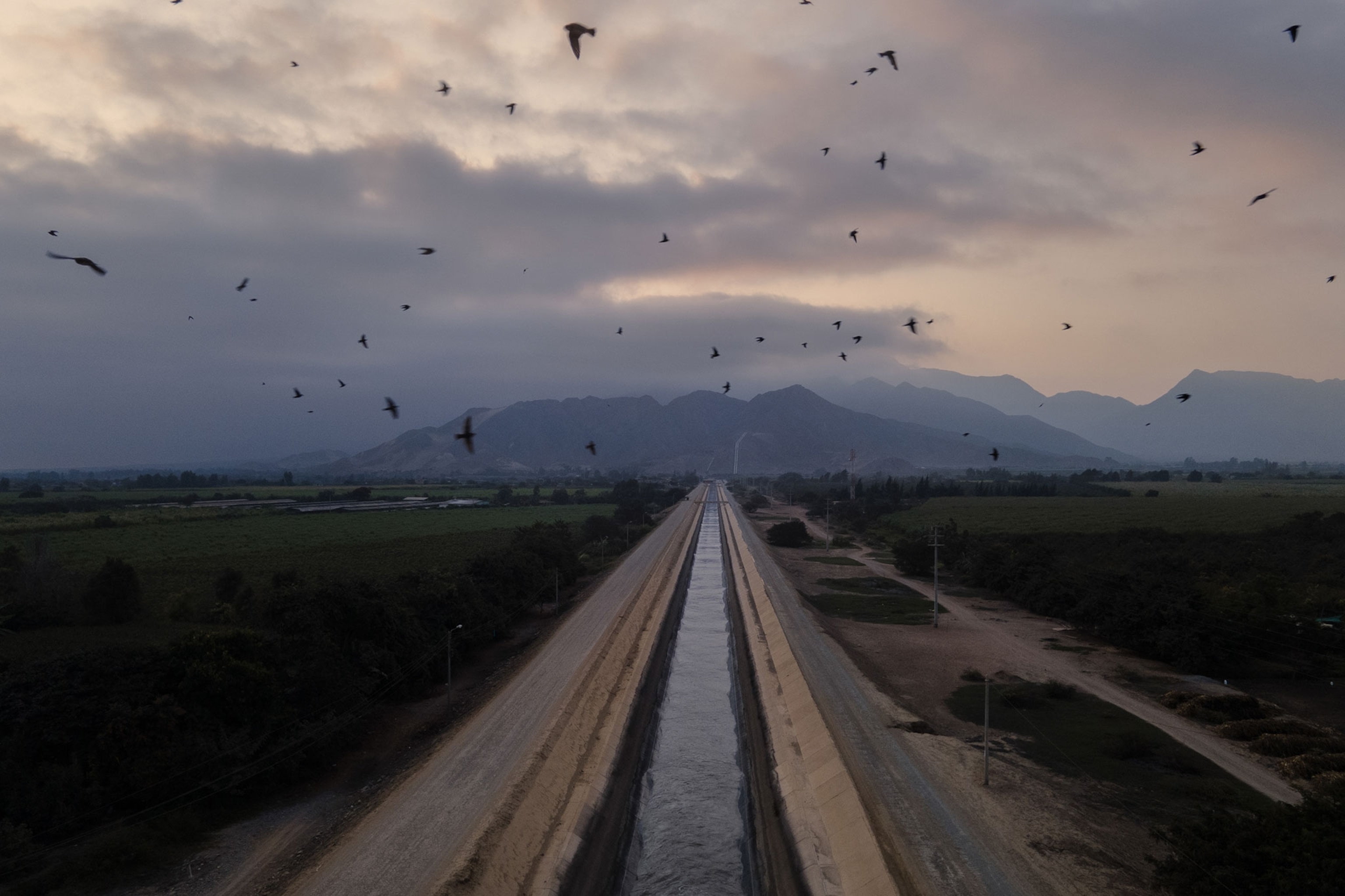 An aerial view of an irrigation system running through fields with birds flying above.