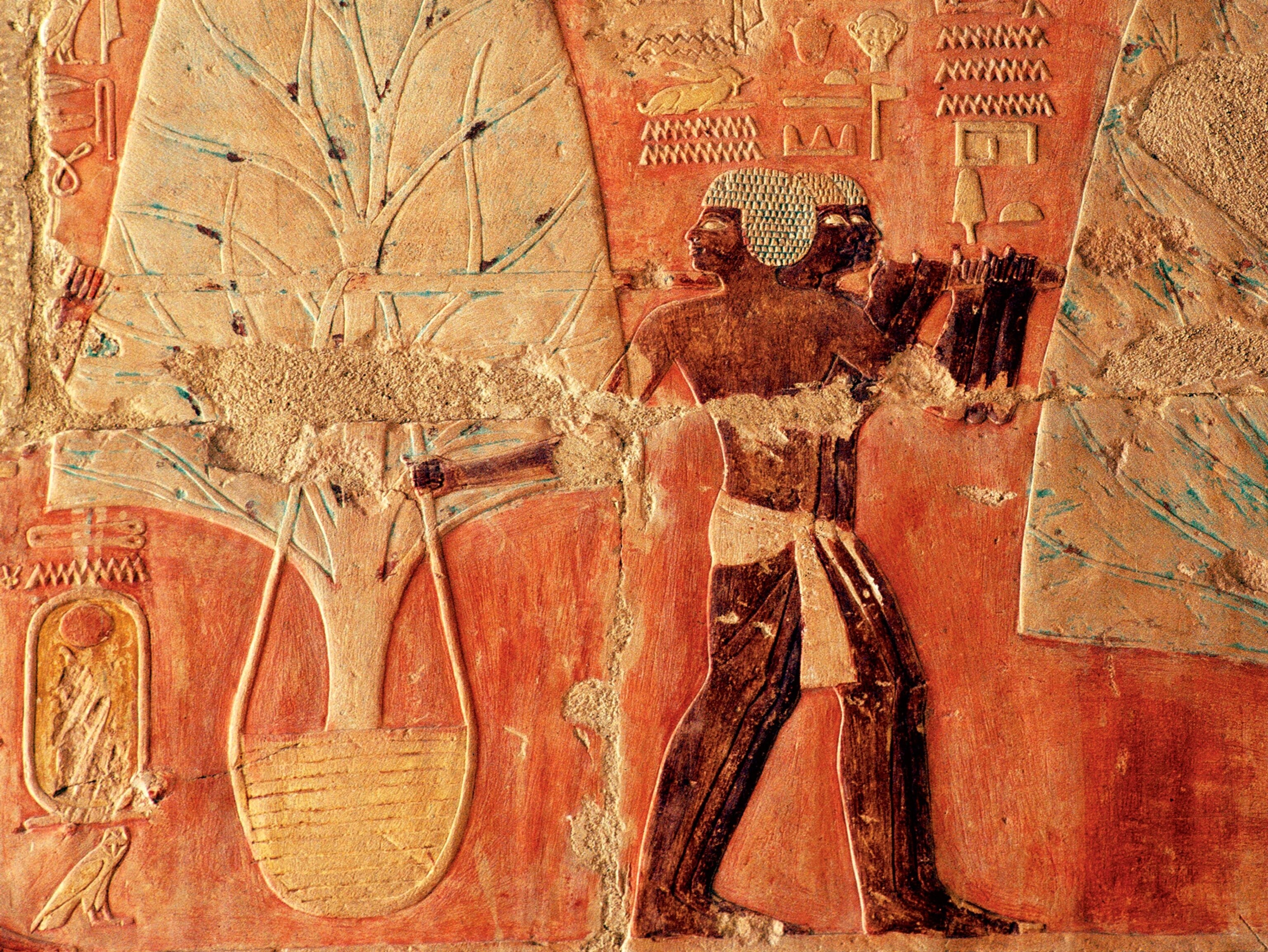a relief showing a myrrh tree