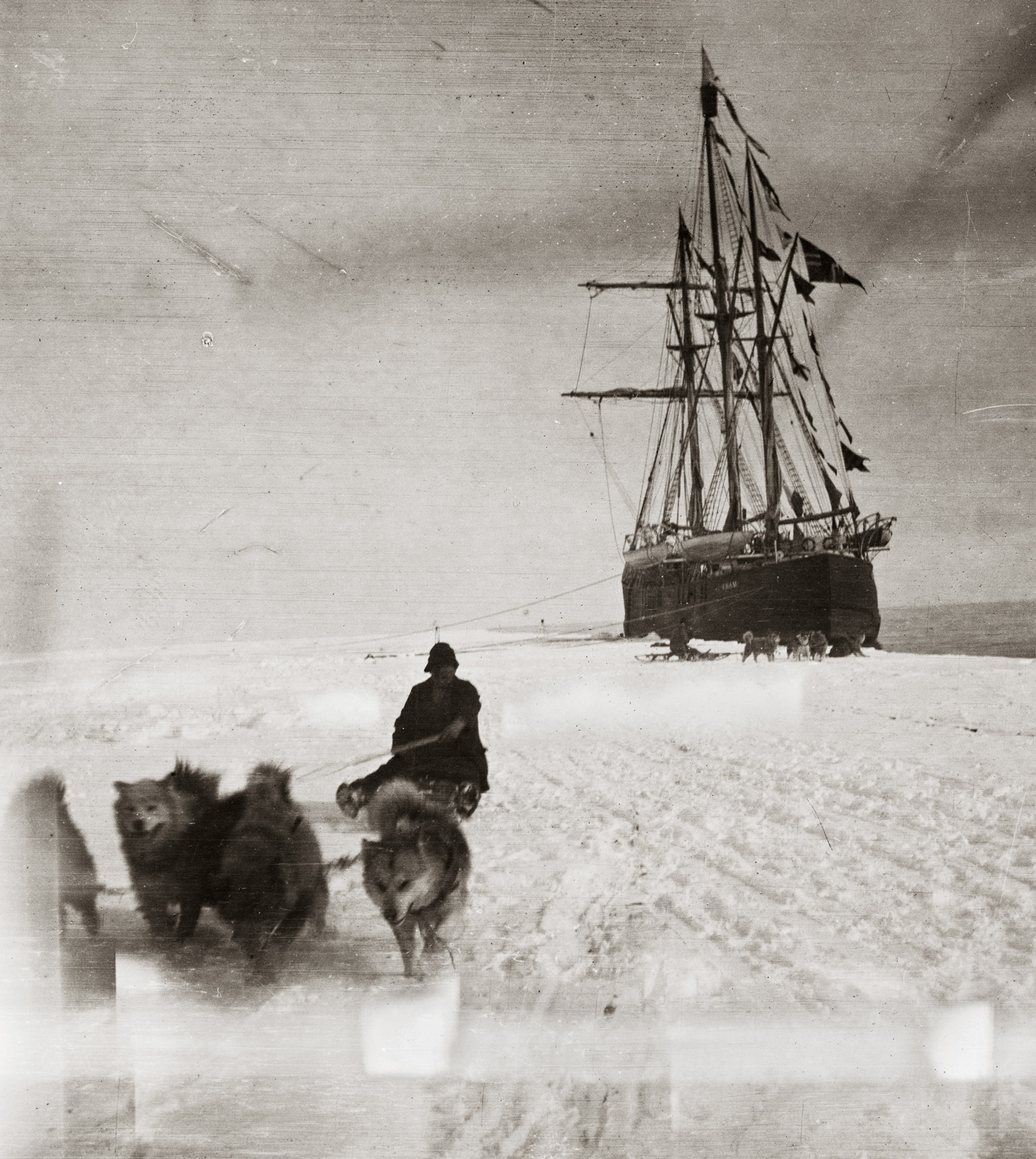 dog teams leading Norwegians in a race to the South Pole