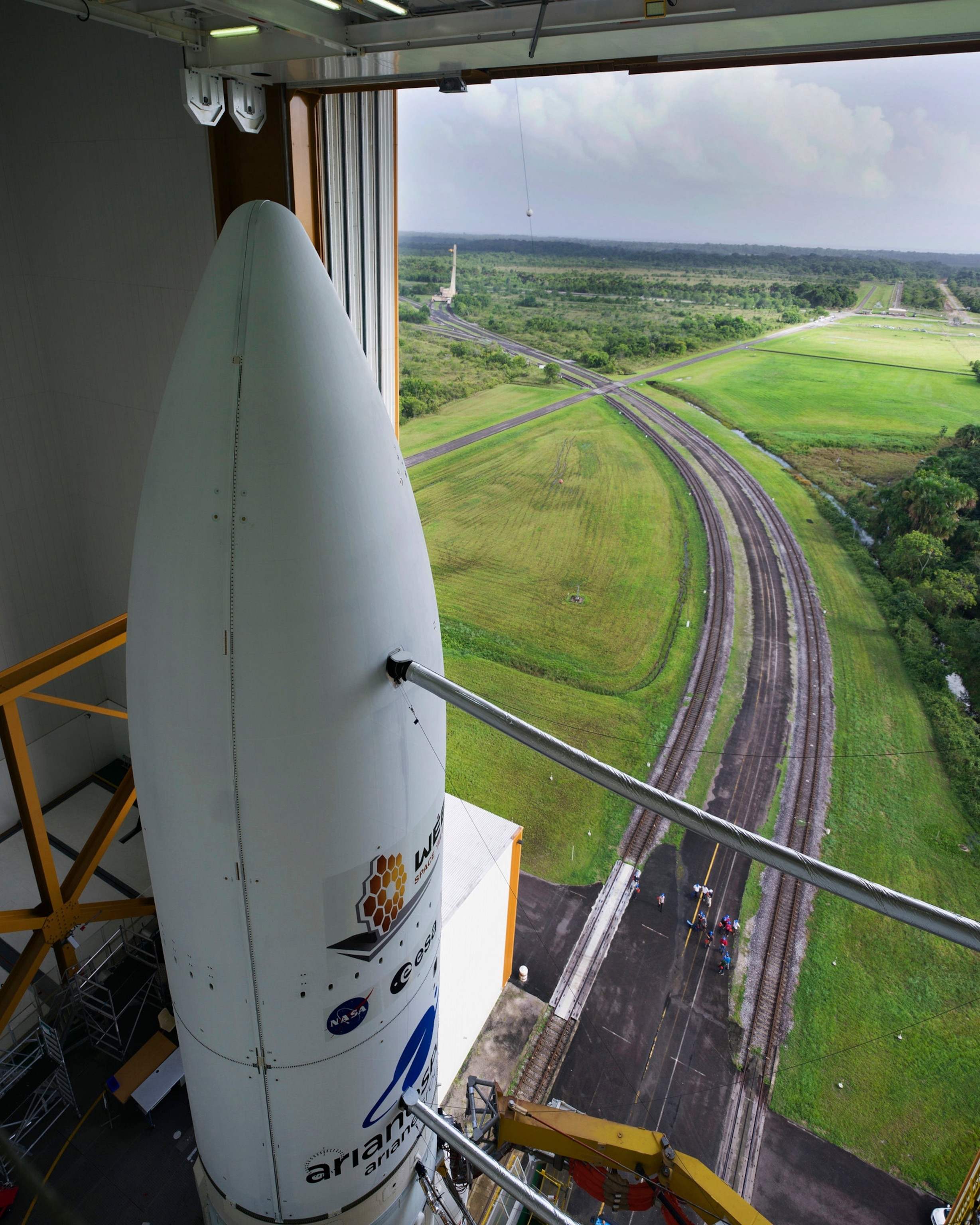 Rocket in the doorway opening to the green fields.