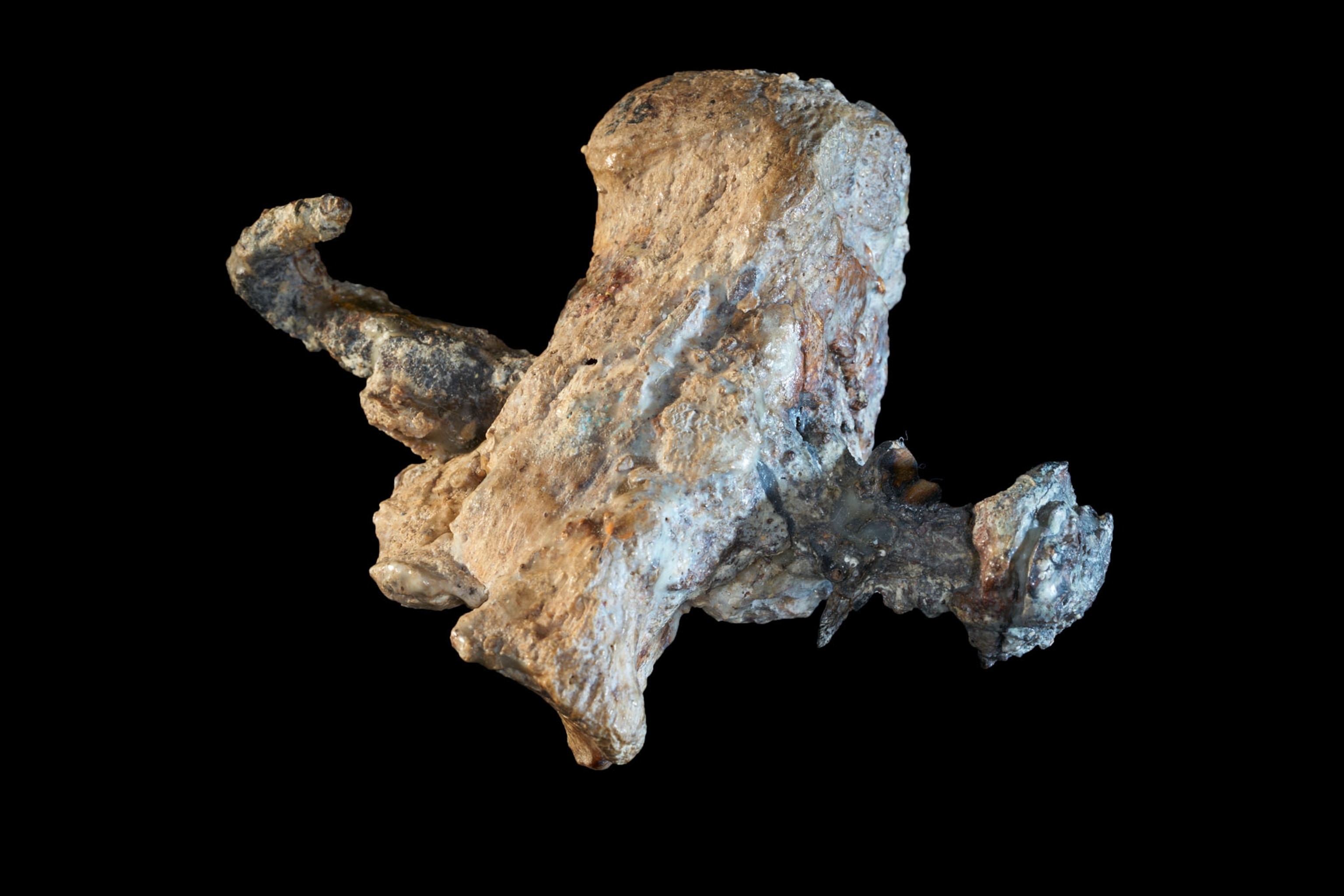 crucified man’s heel bone with a nail.