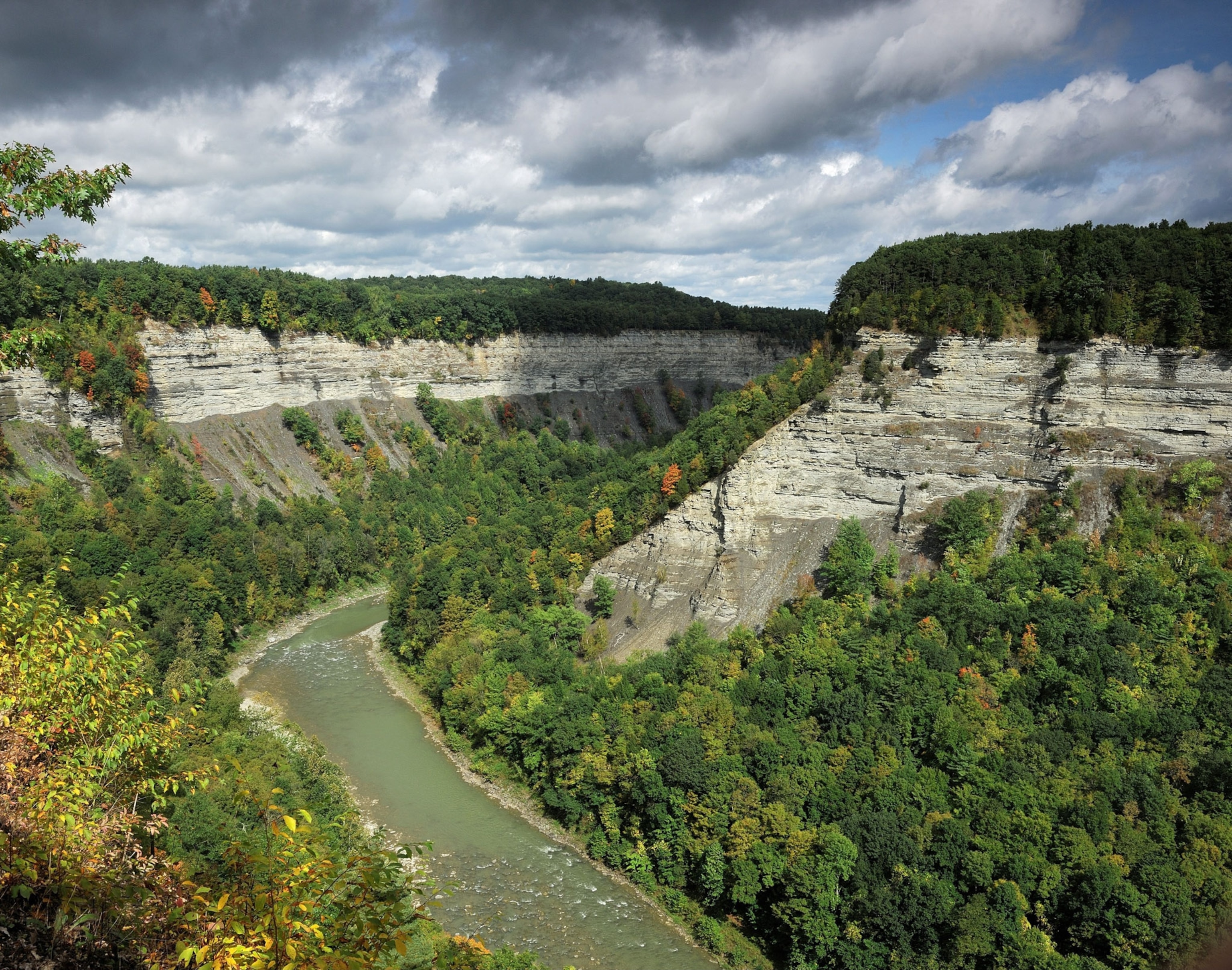 Green trees line the rocks of a canyon.