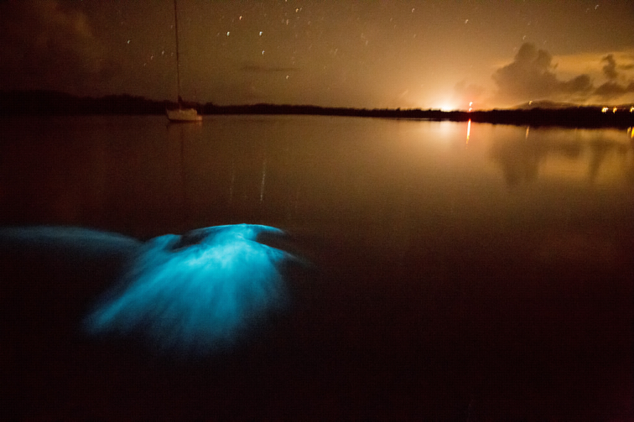 a bioluminescent bay