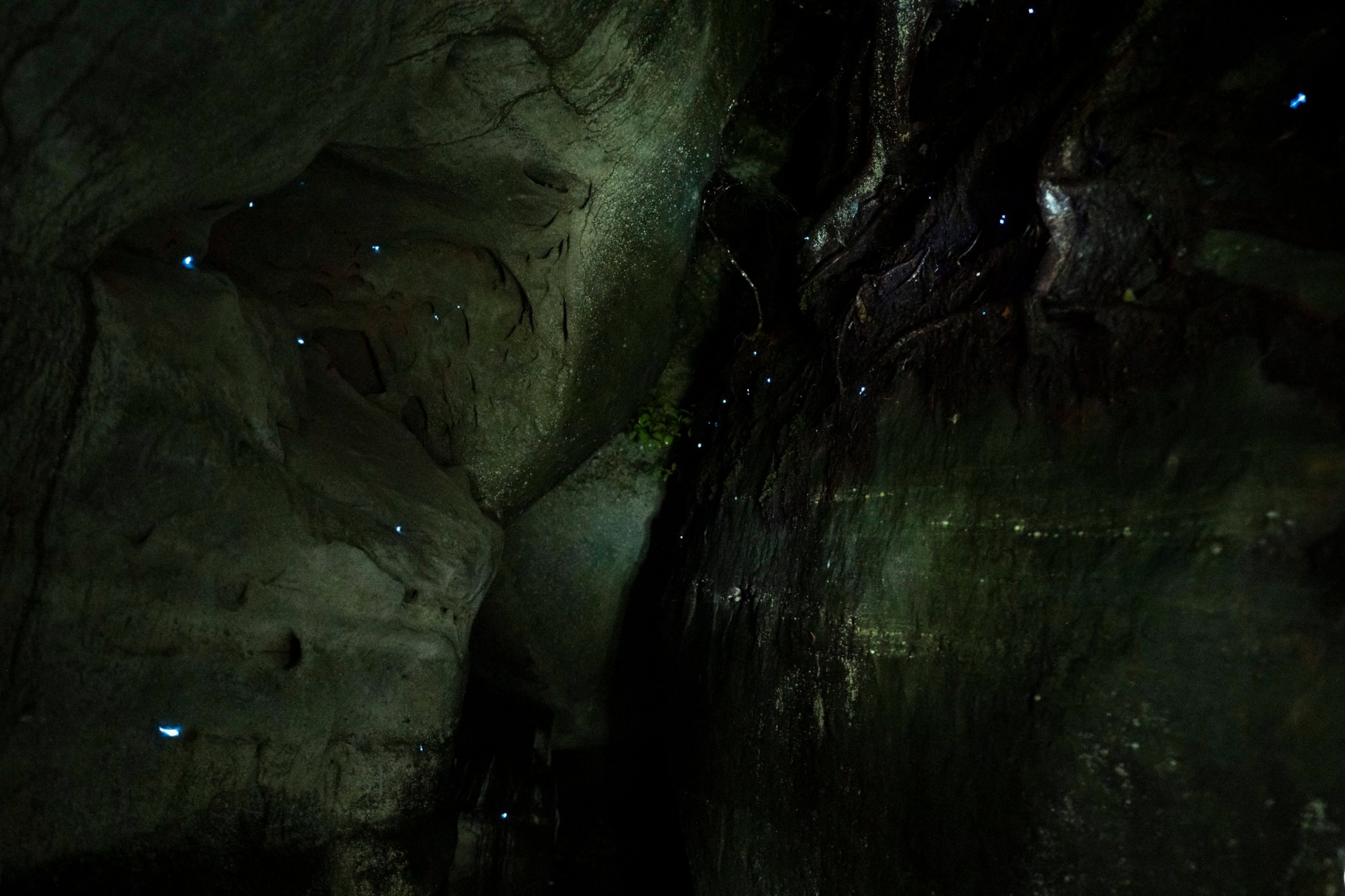 Interior of cave with tiny lit glow worm dots