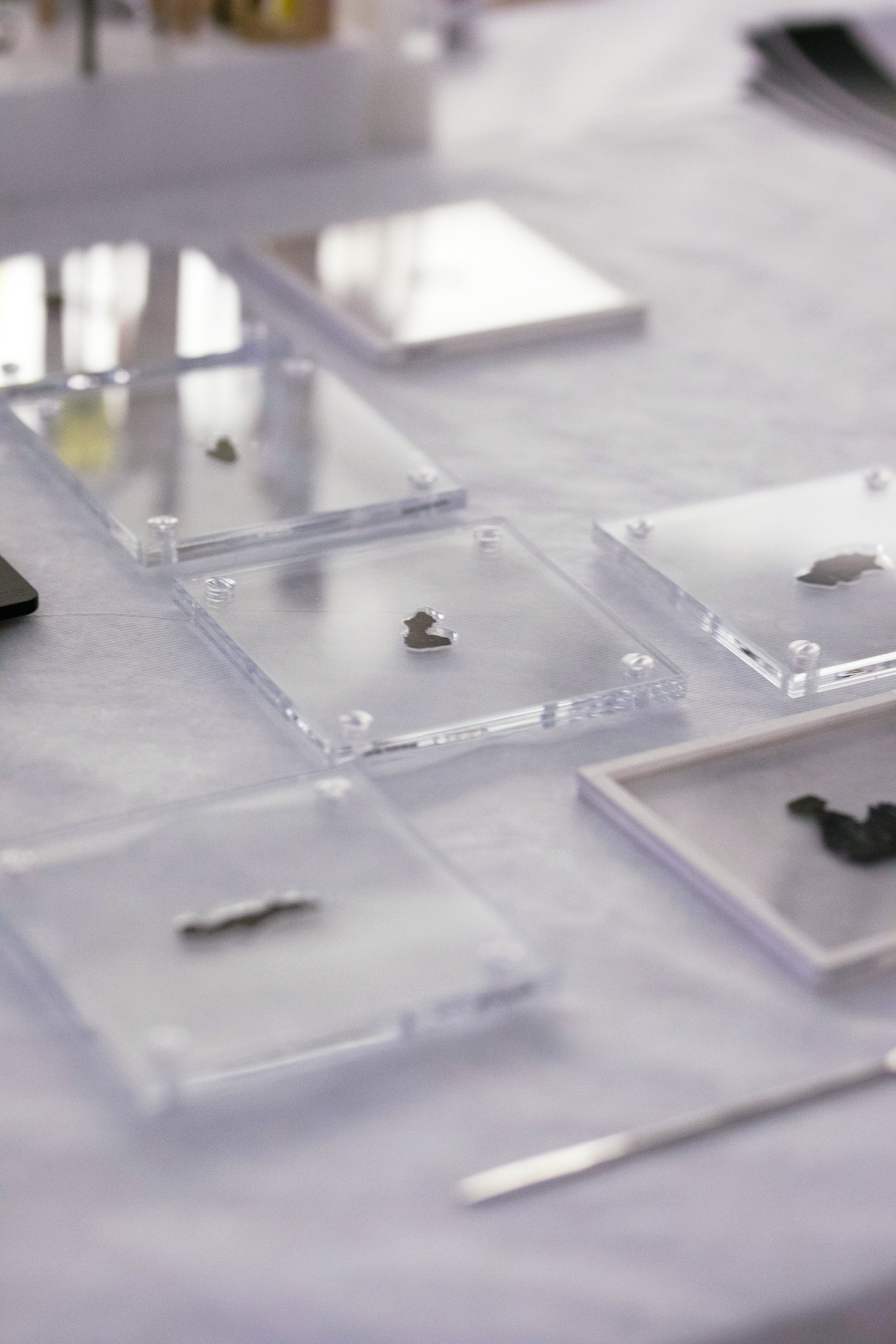 scroll fragments protected under glass on a table