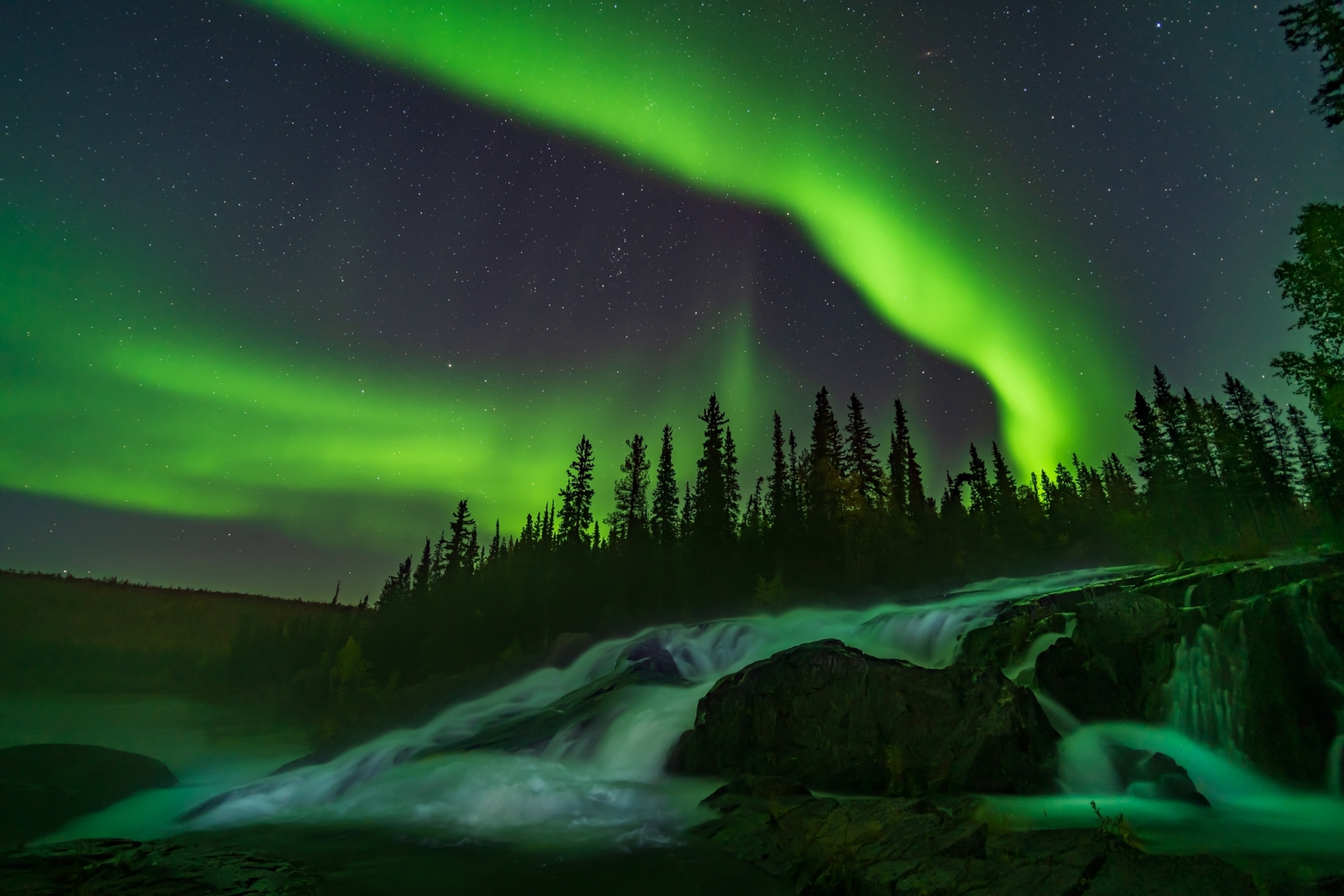 Green ribbons of aurora in the night sky over narrow pine trees and a low flowing waterfall.