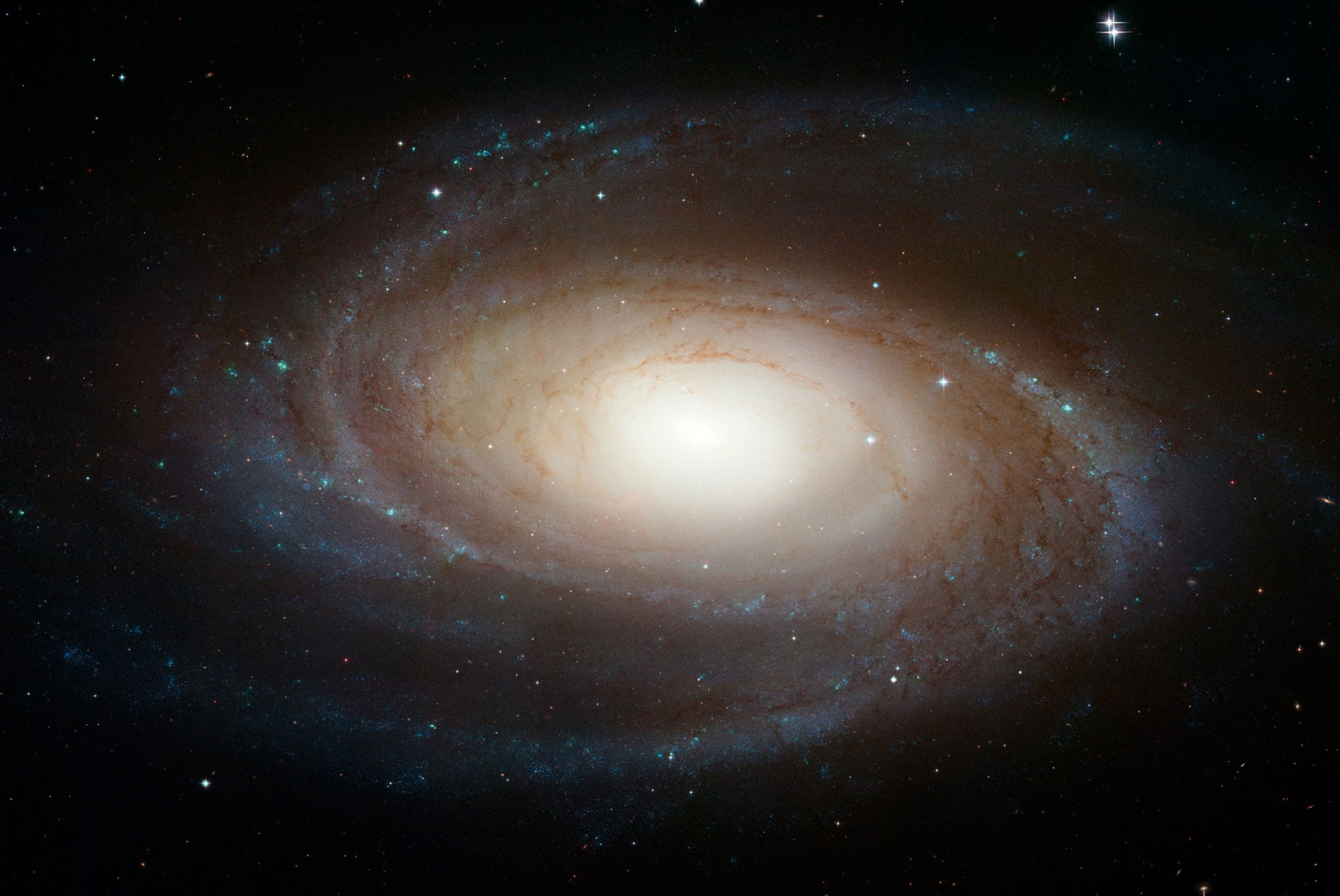 M81 Galaxy