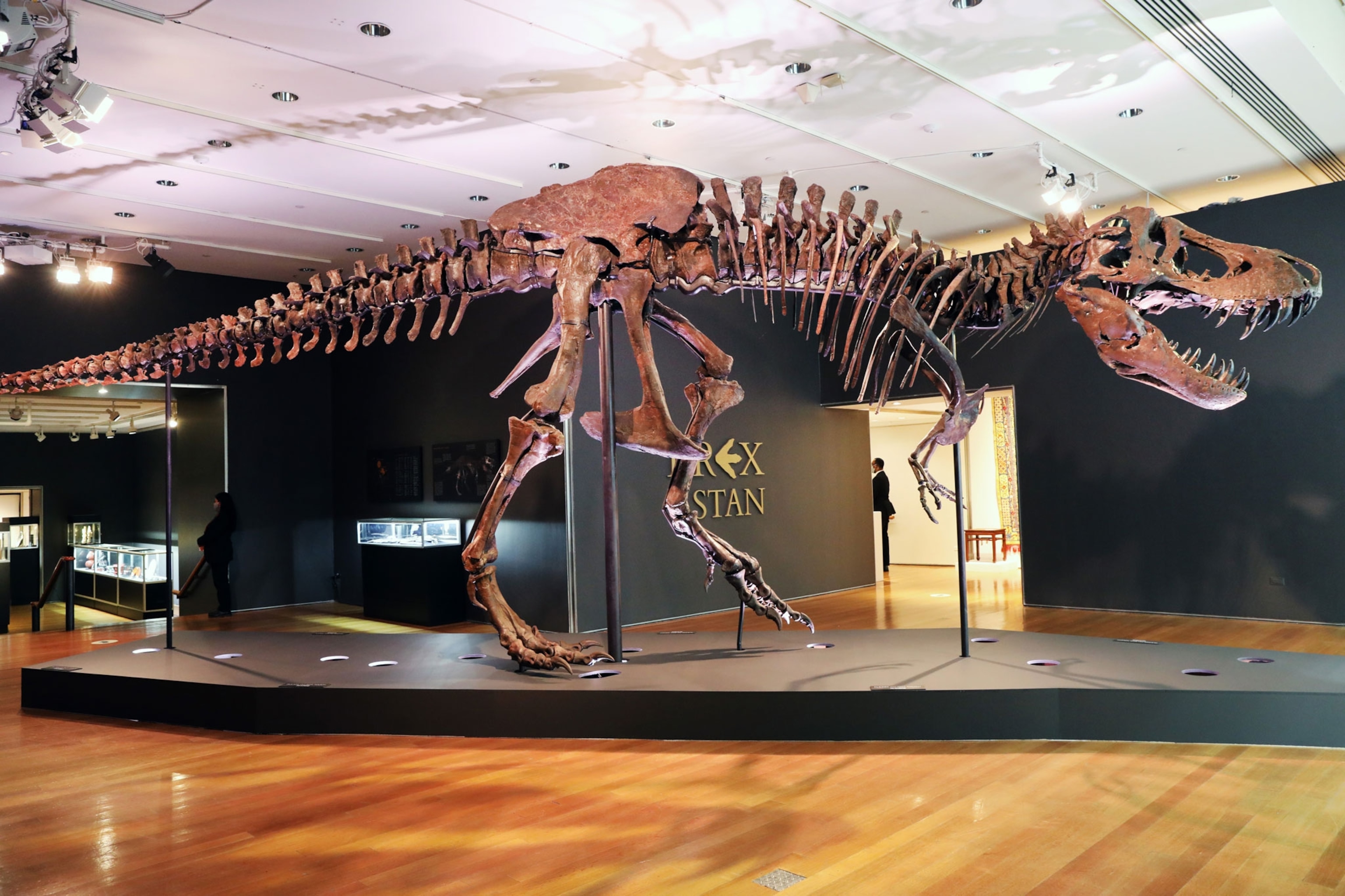 T-Rex