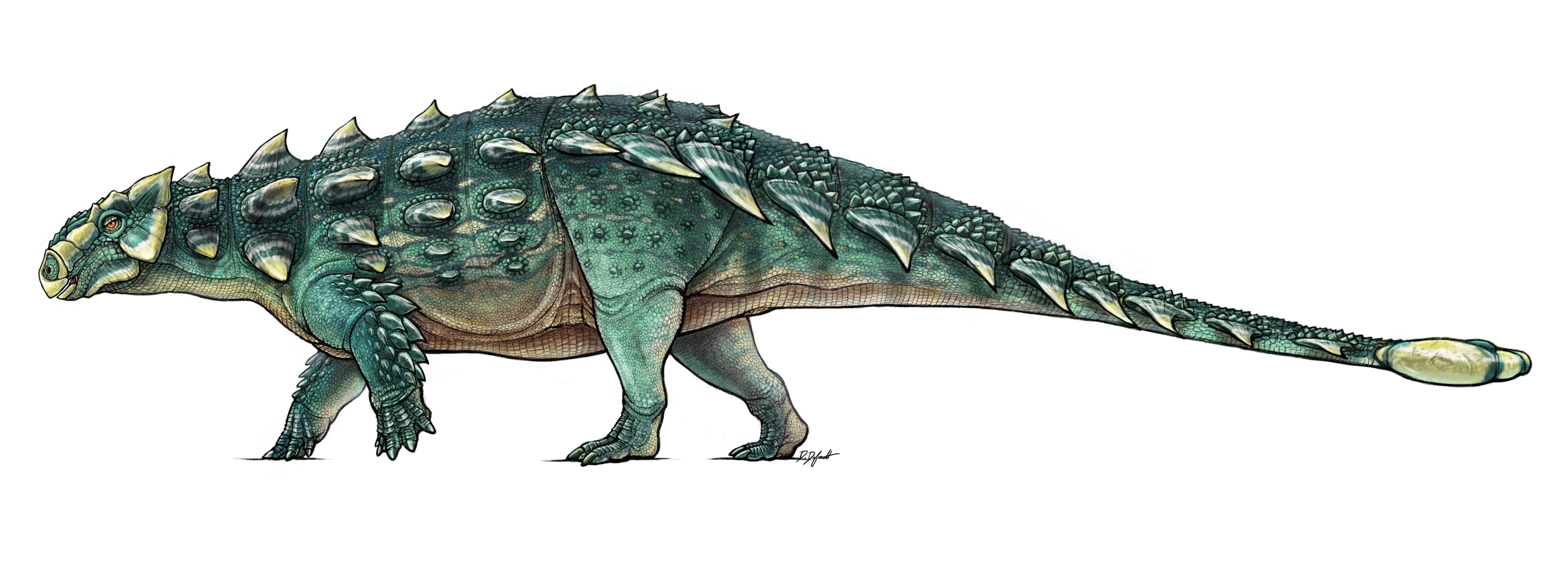 dinosaur