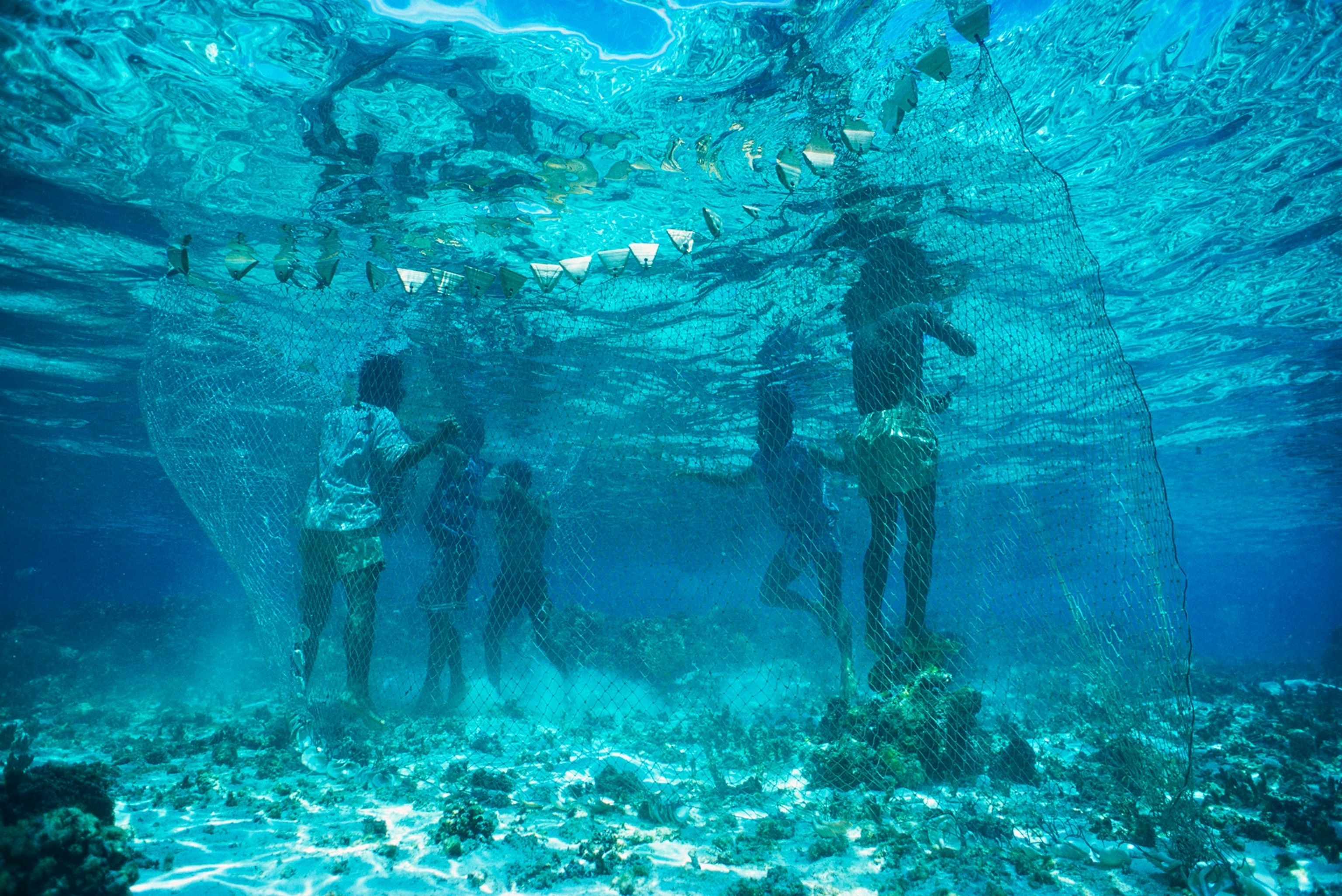 villagers sharing a fishing net underwater