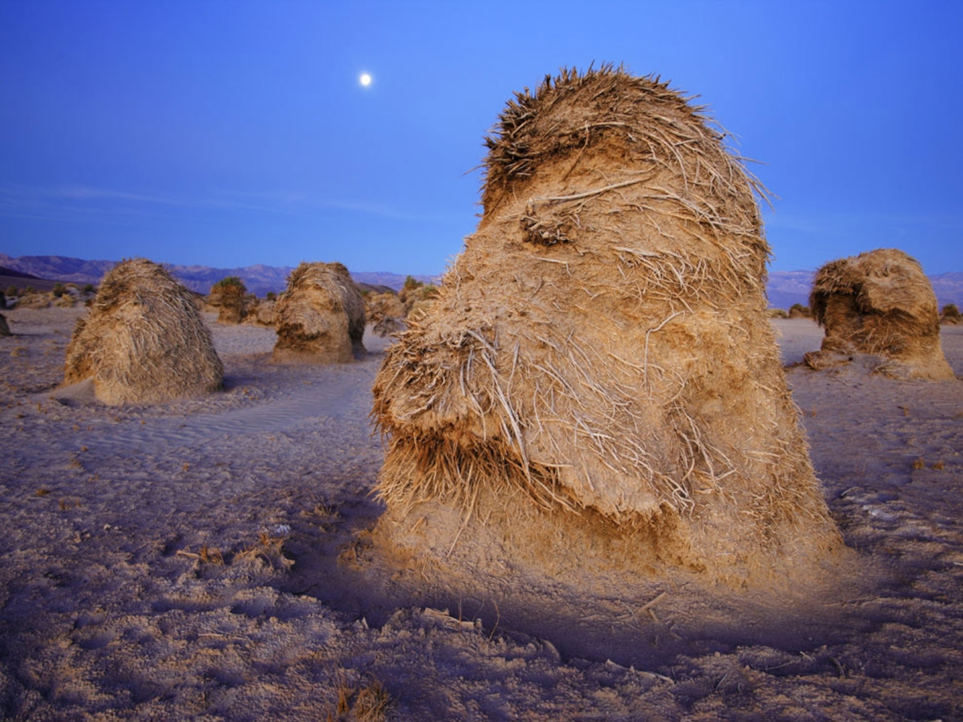 Large structure in moonlight