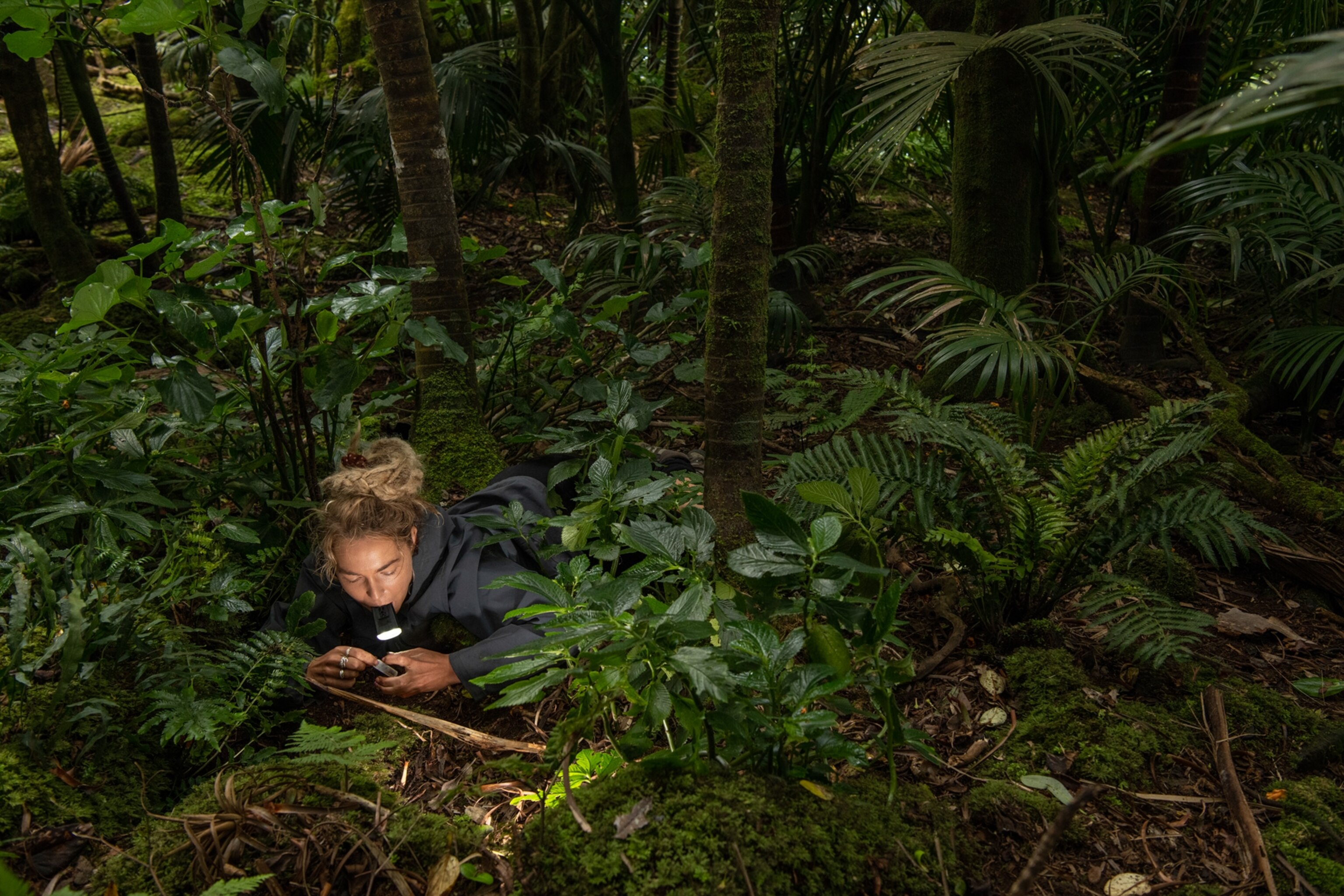 a woman holds a flashlight while laying in the leafy underbrush of the rainforest