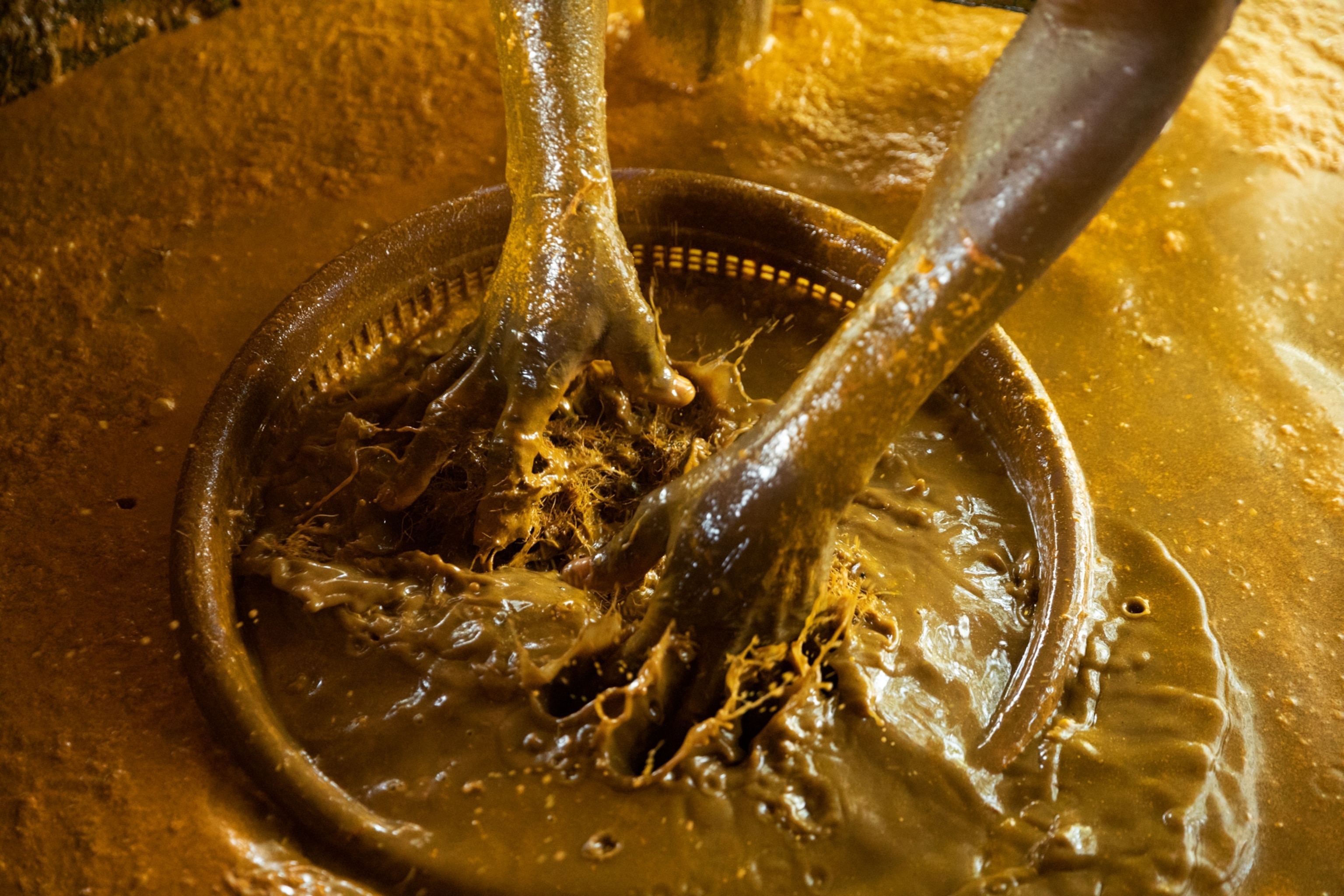 hands separating the fruit fibers from yellow oily mix