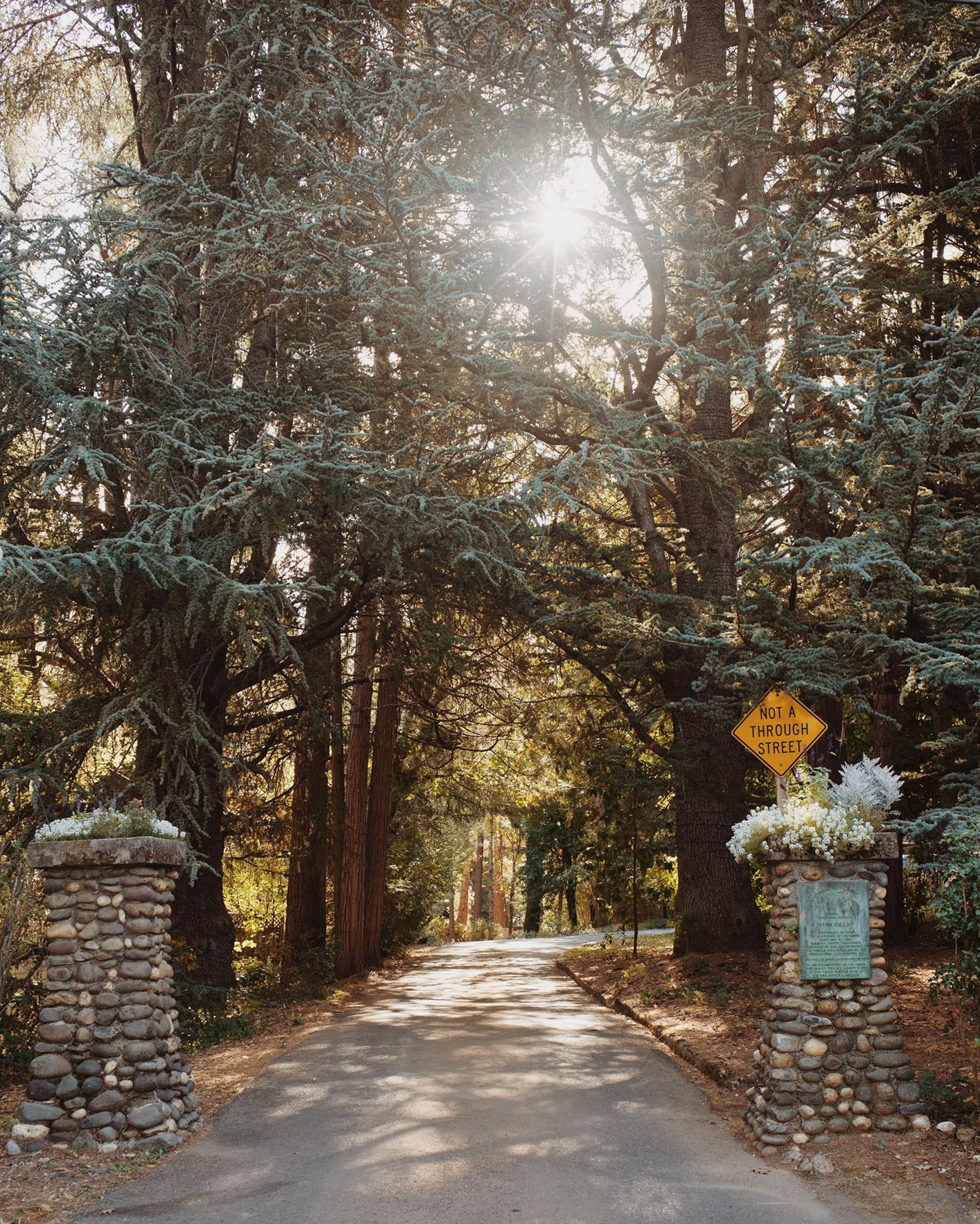 heirlooms in the United States