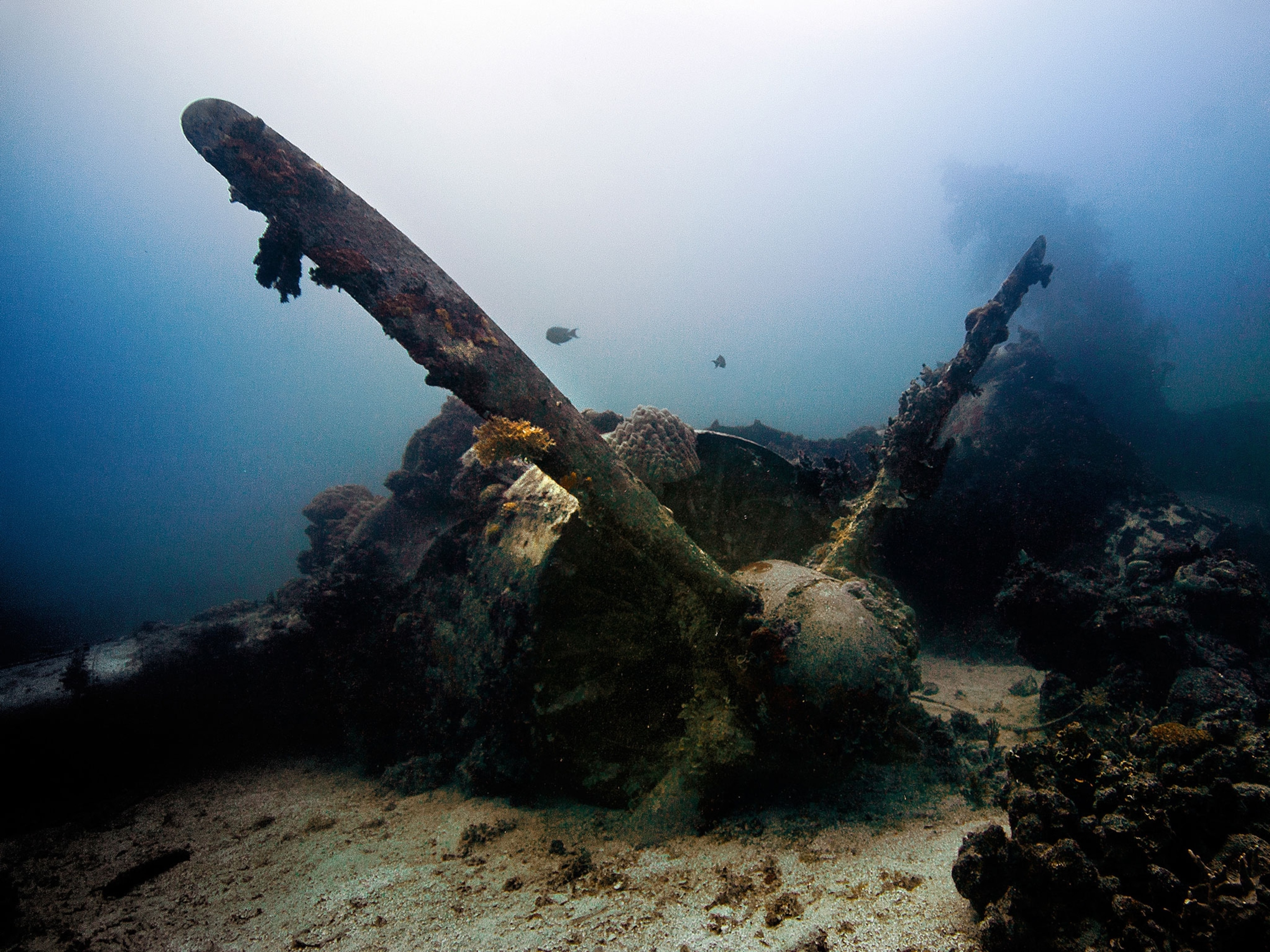wreck