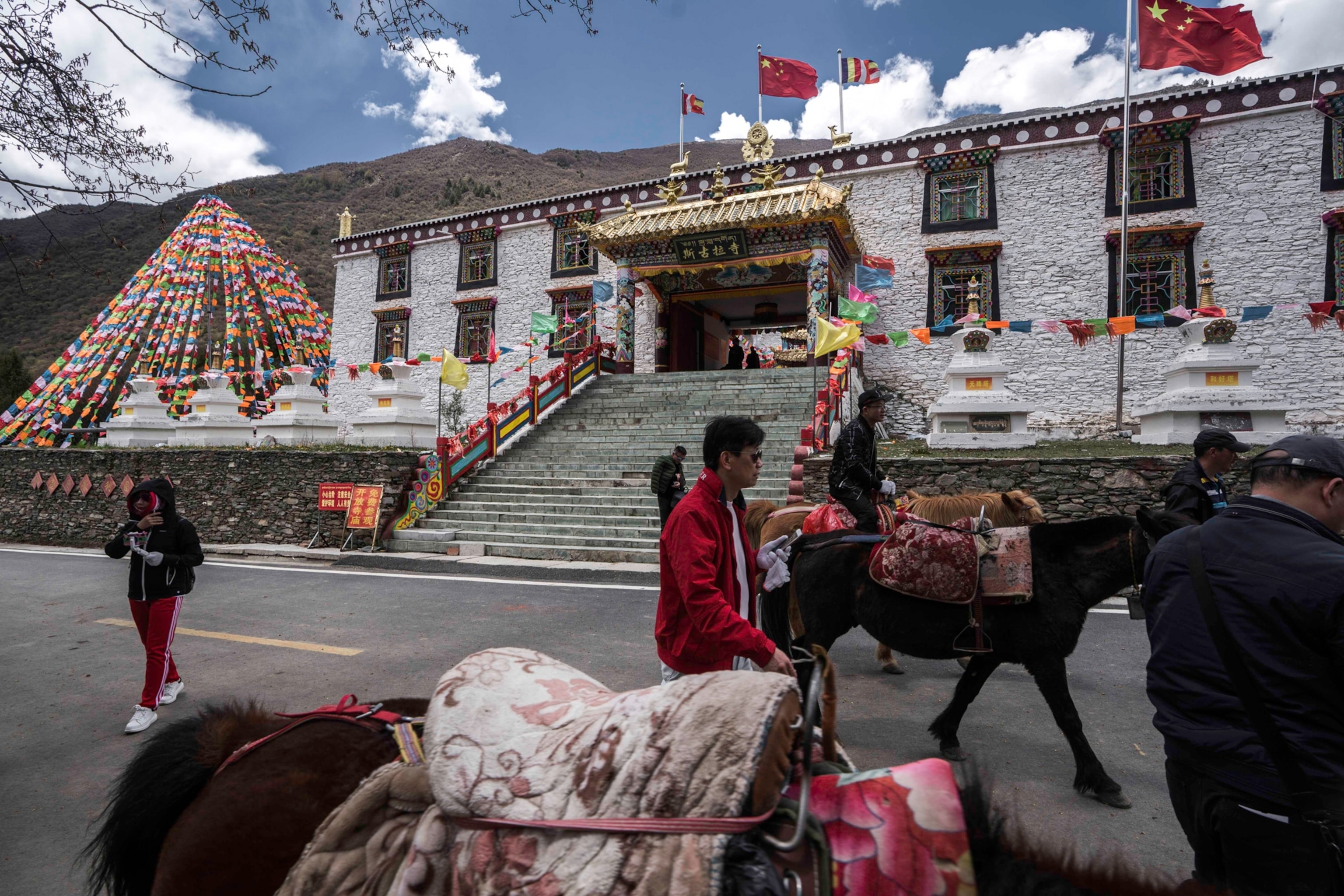 Photo of people and animals walking in street with colorful flags