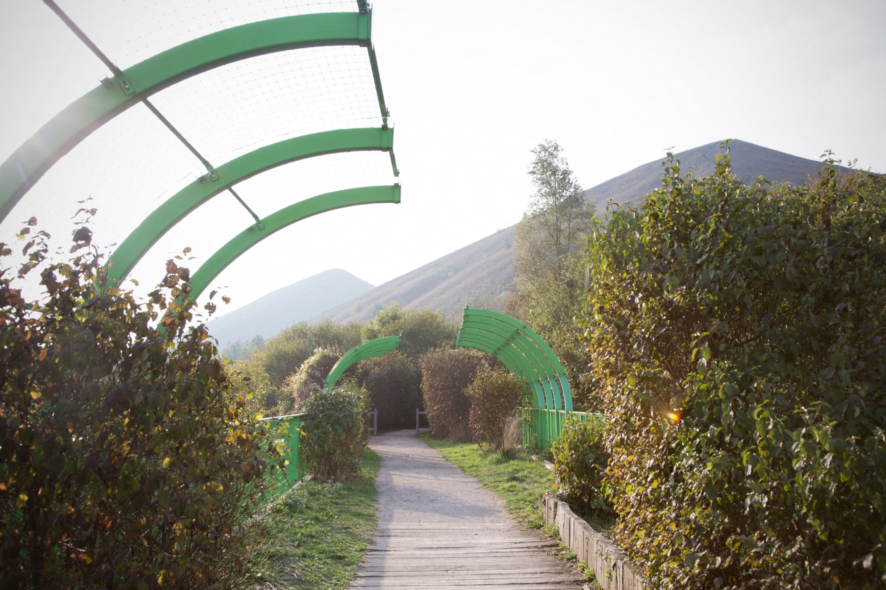 A paved path lined with greenery leads toward a coal mound in the distance