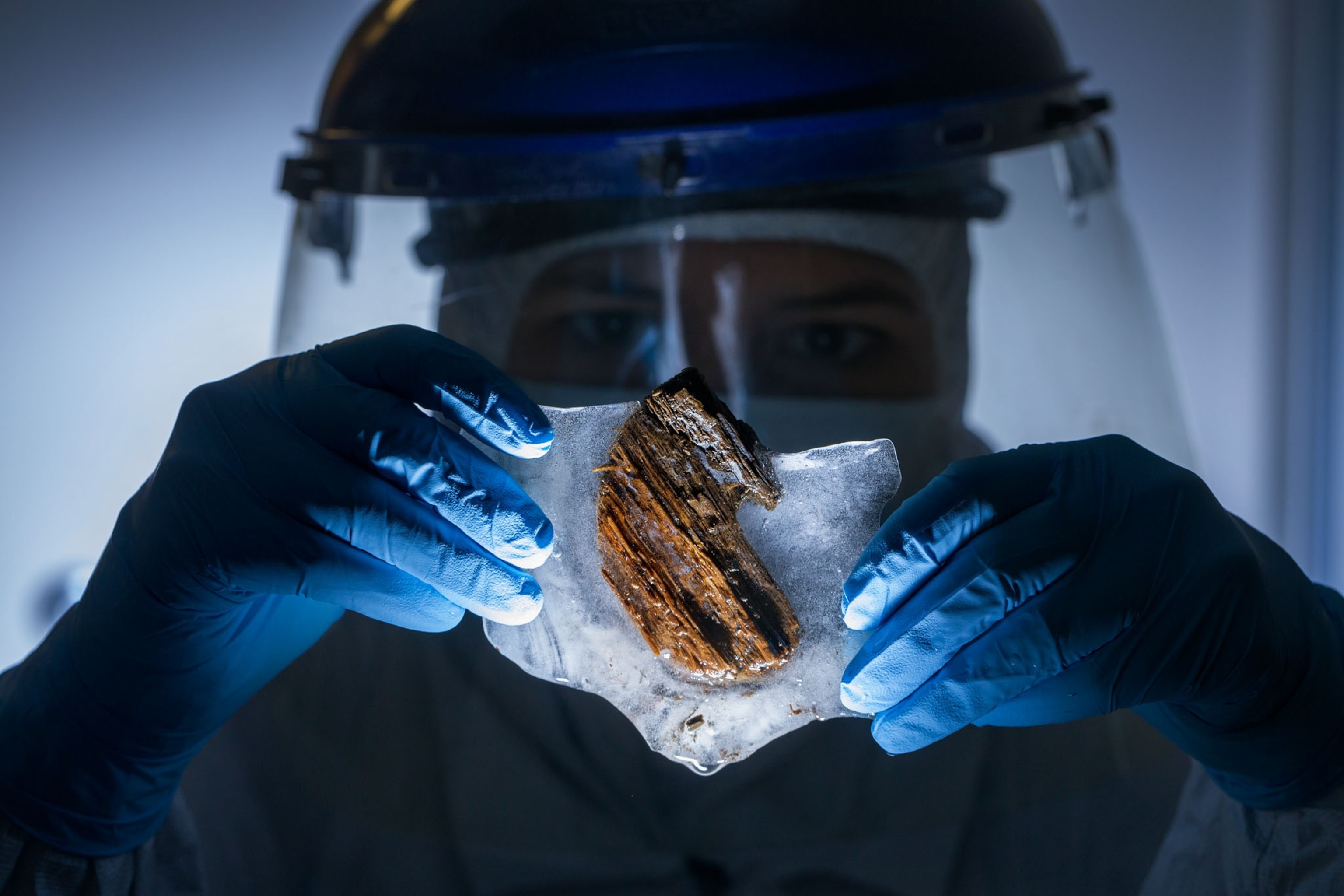 a lab technician holding up a piece of wood encased in ice