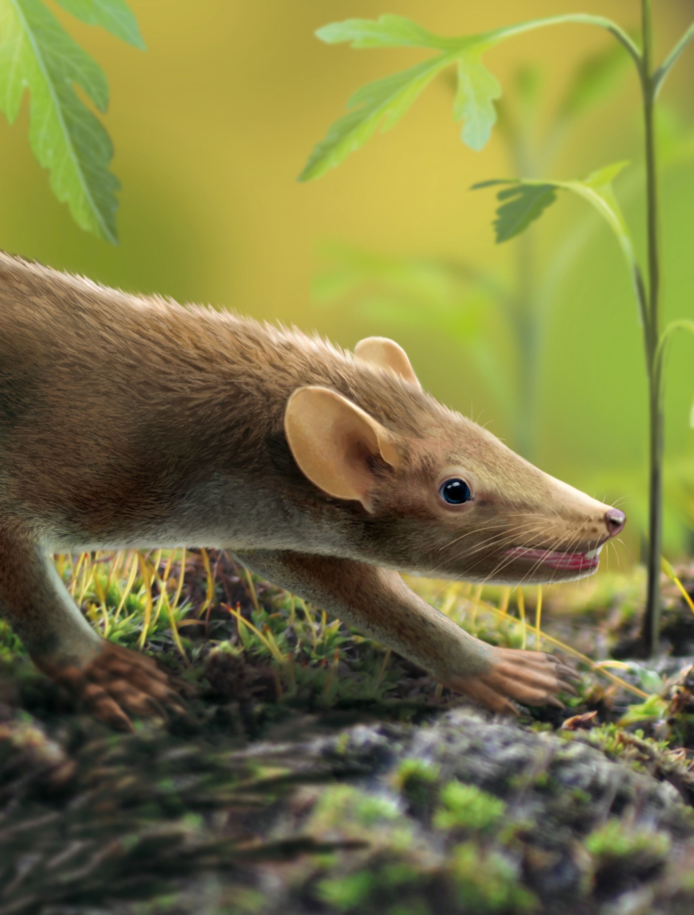 Spinolestes in its Cretaceous habitat. Art by Oscar Sandirisio.