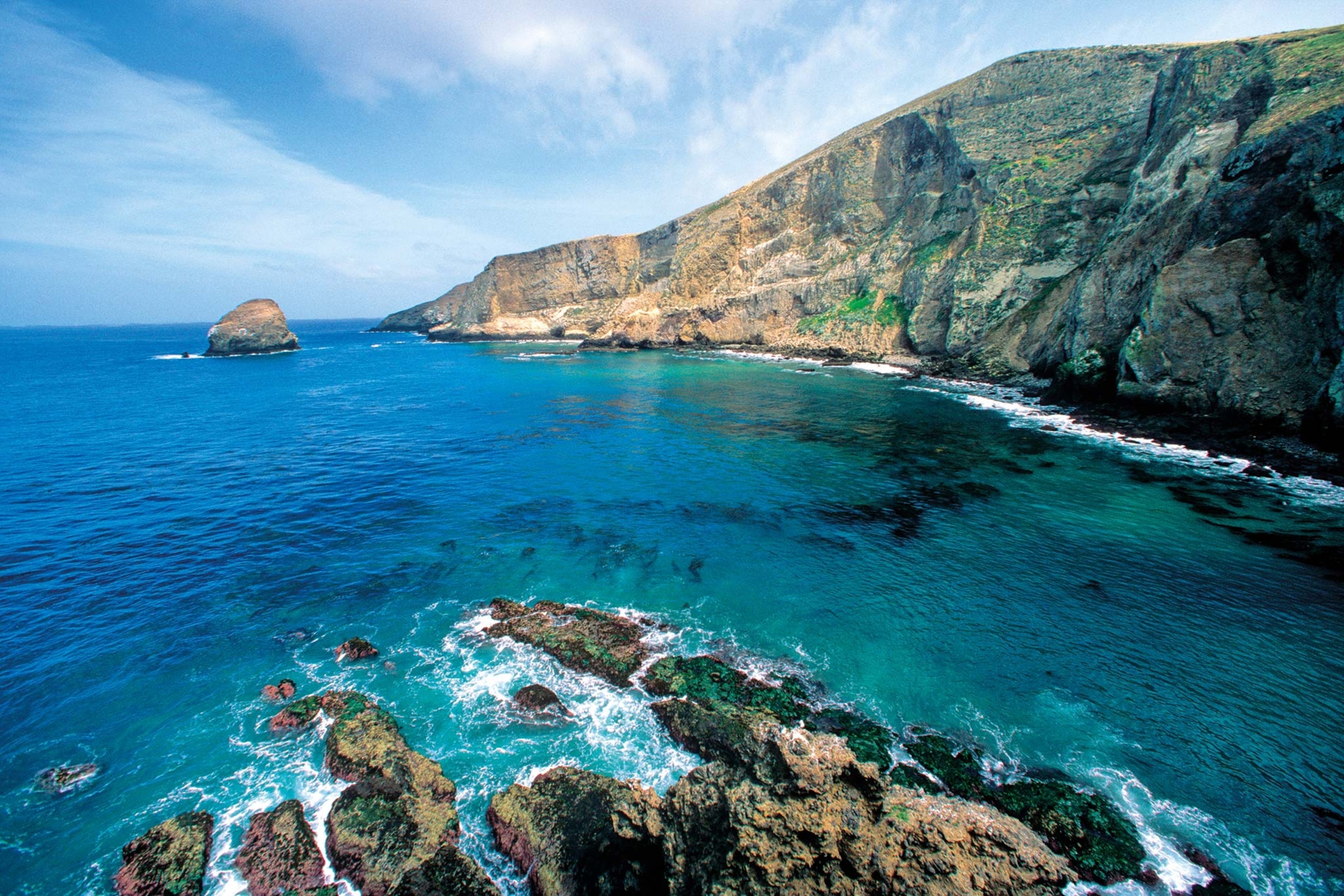 A cliff on the coast of Santa Barbara Island is pictured