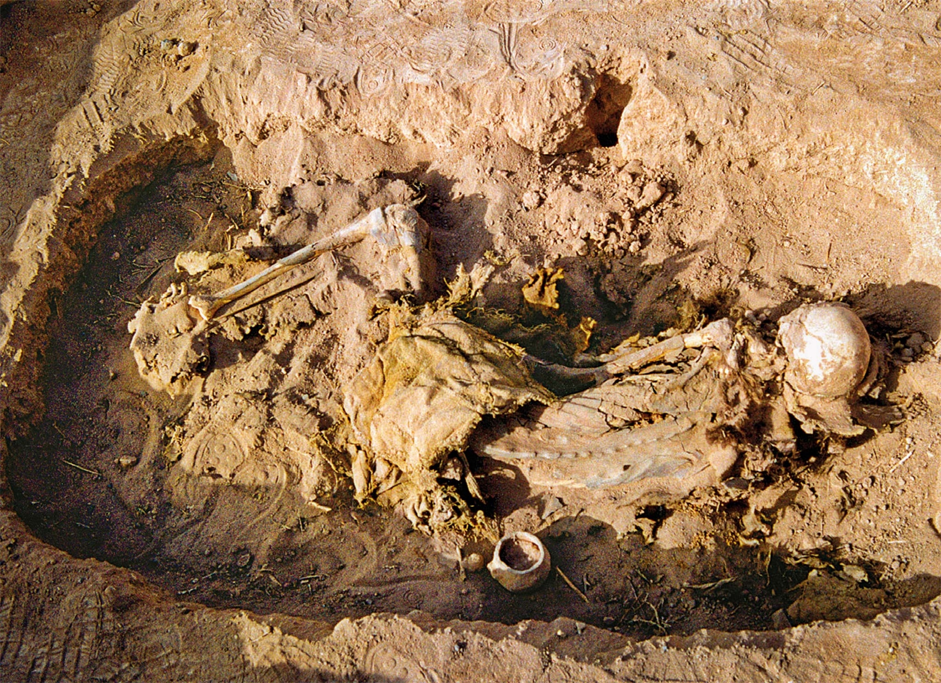 Buried with a saddle and riding clothes, a female skeleton found in a grave at the Yanghai cemetery likely lived as a herdswoman some 2,700 years ago.
