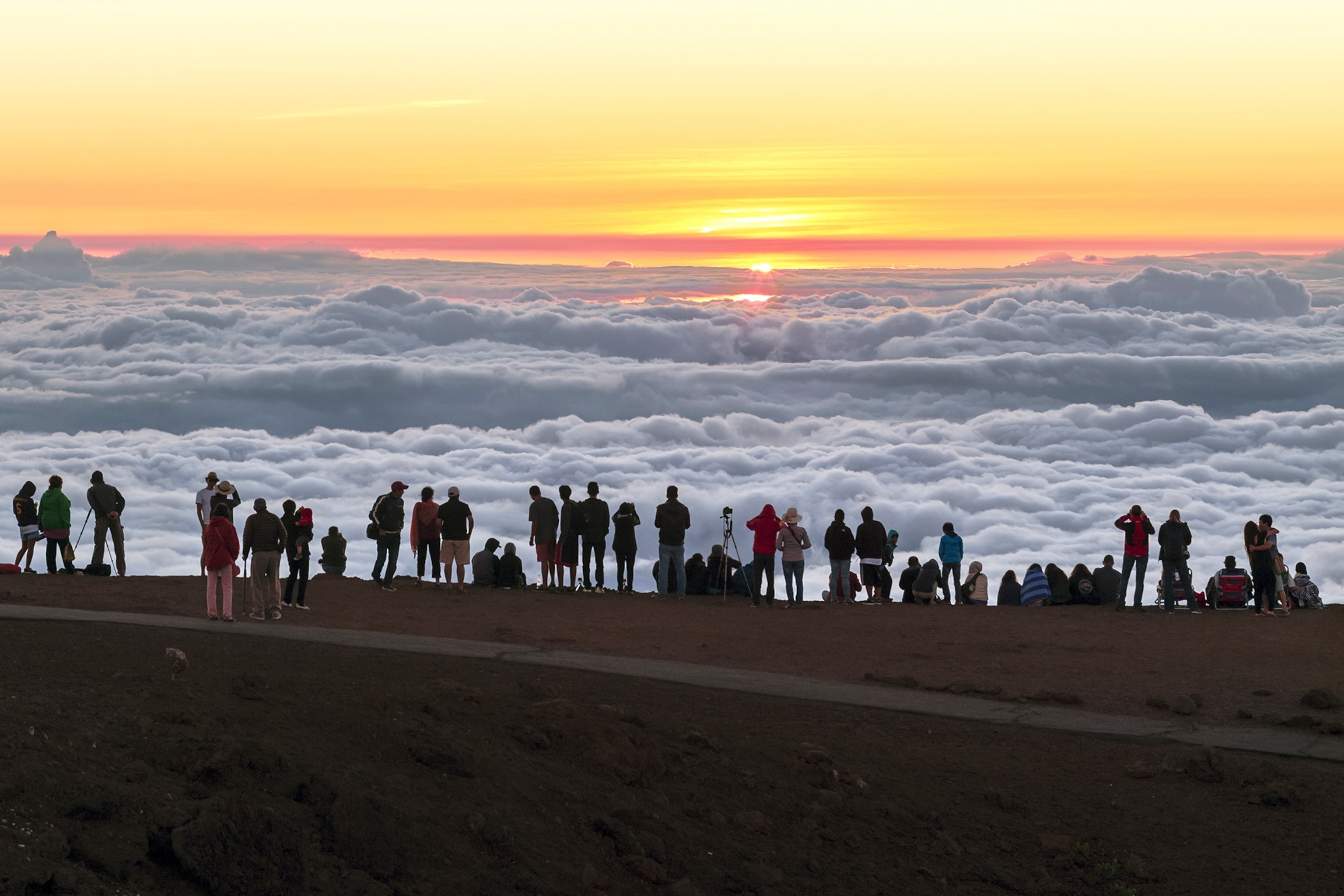 People staring into the golden sky with clouds.