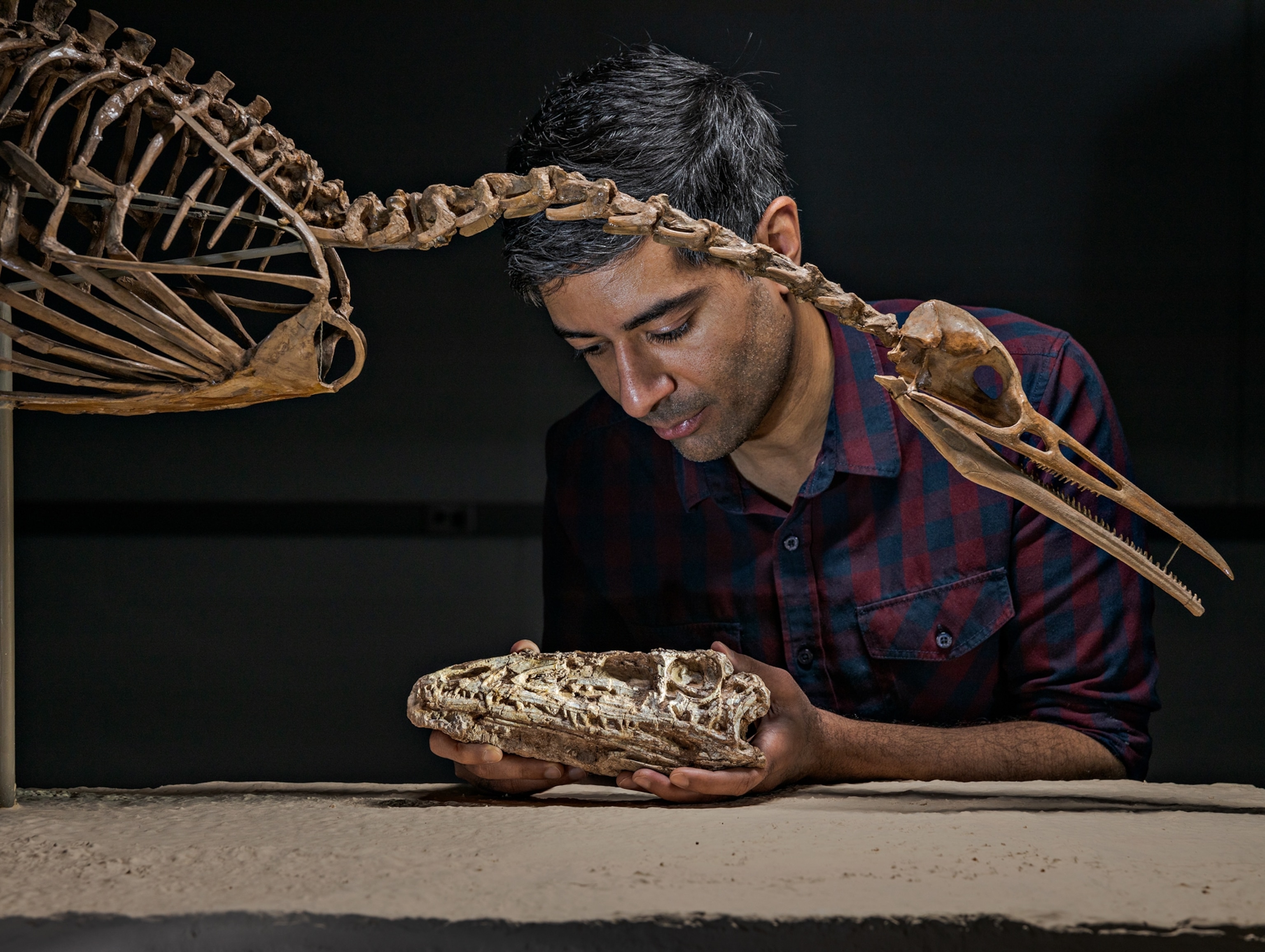 a man holding a fossilized bird skull behind another fossilized bird
