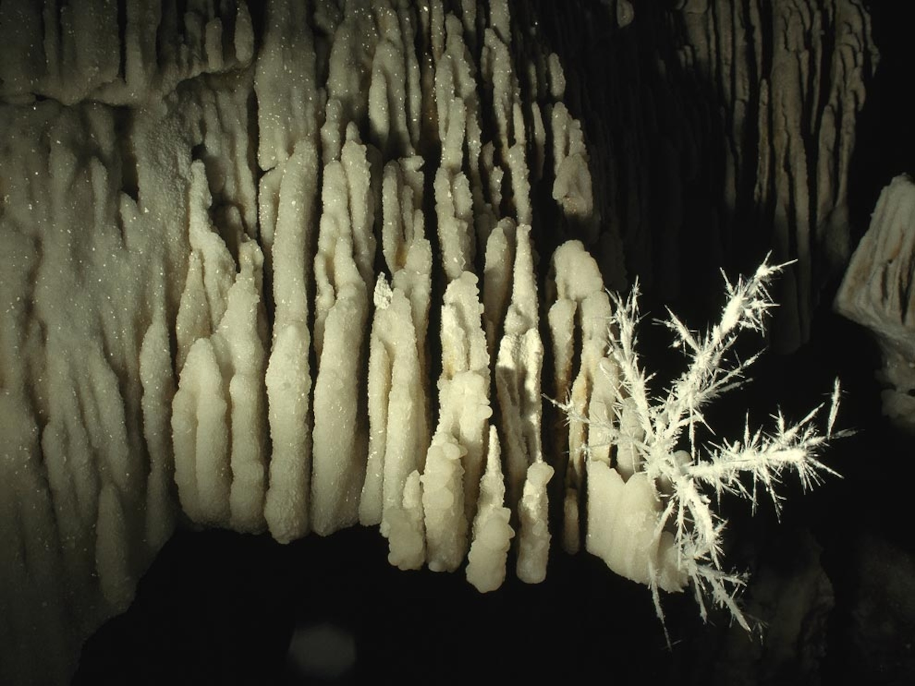Minerals in Carlsbad Caverns