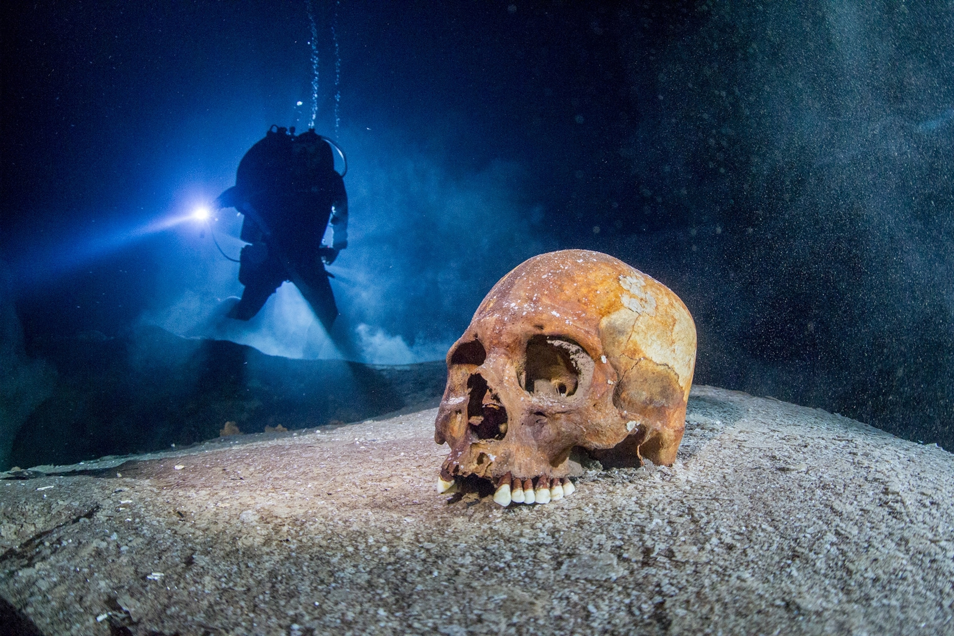 a skull and a scuba diver
