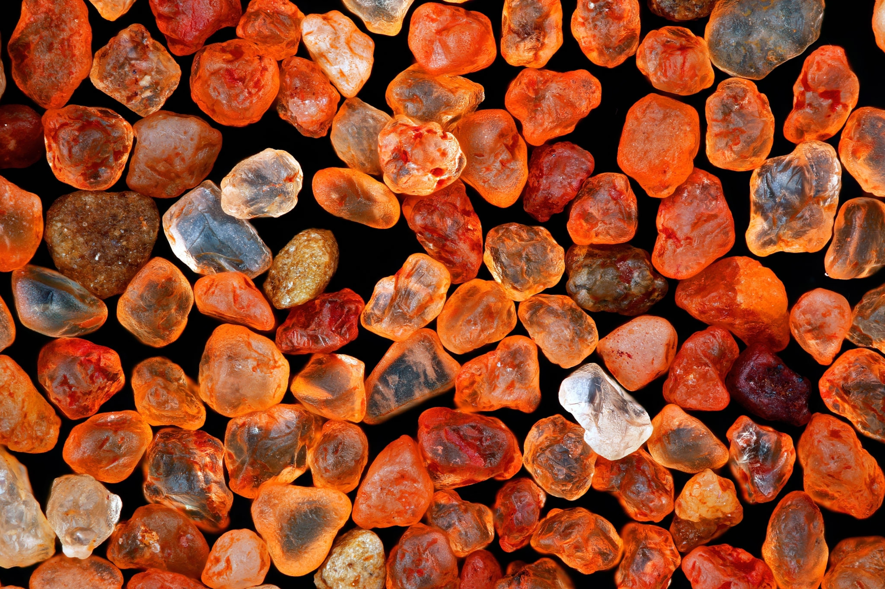 Microscopic image of desert sand