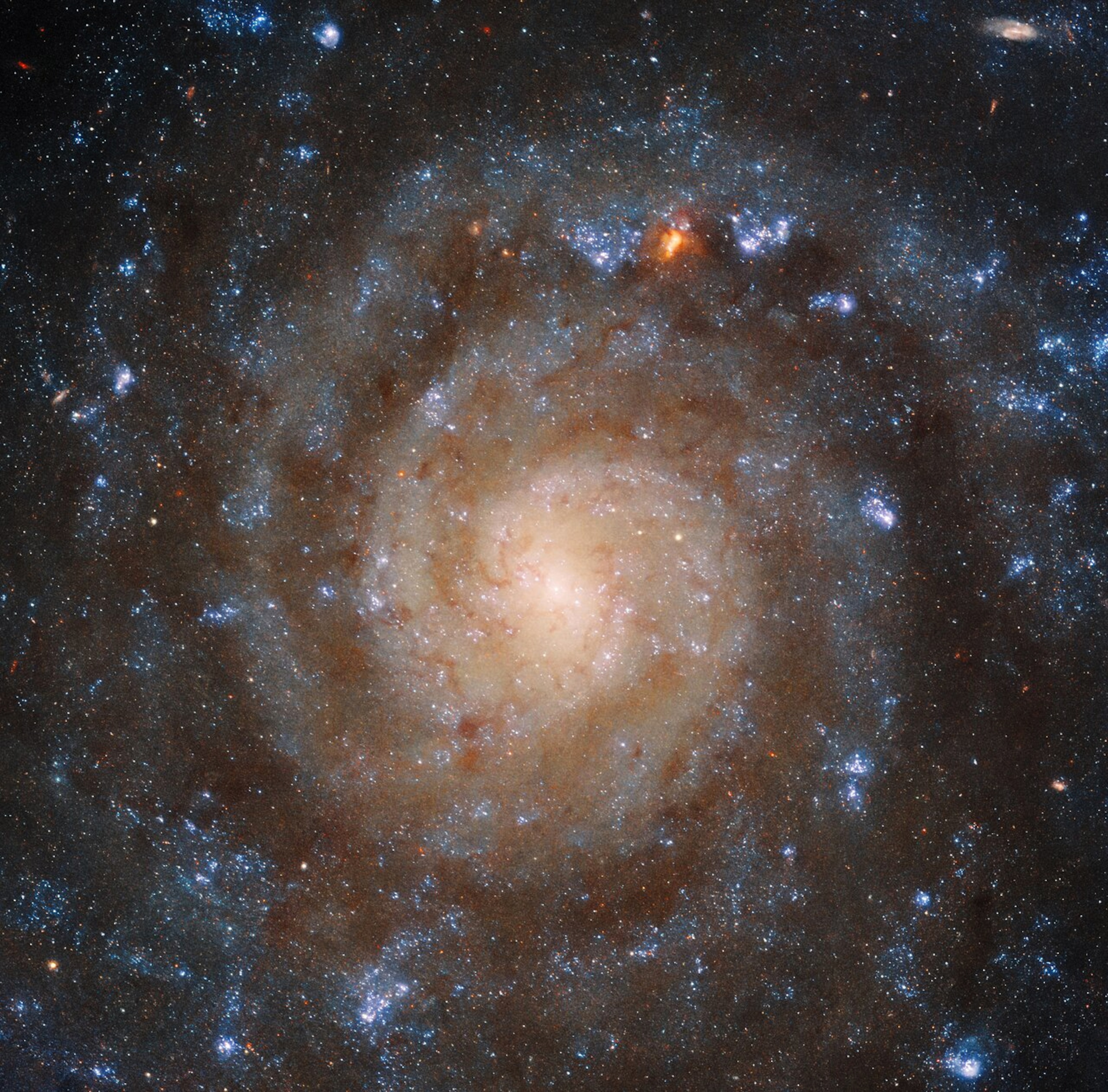 Spiral Arm Galaxy