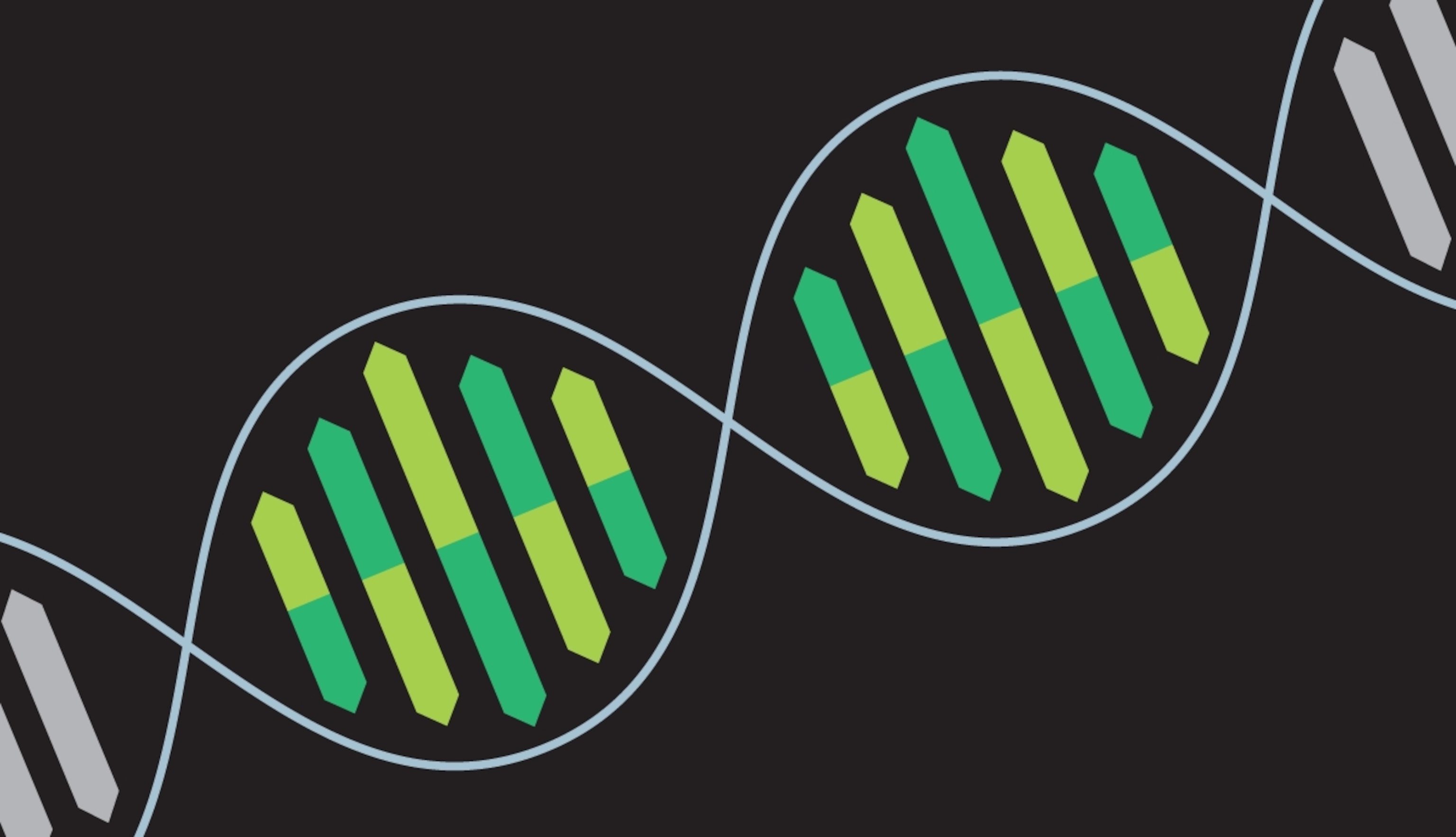 Graphic representation of a DNA strand