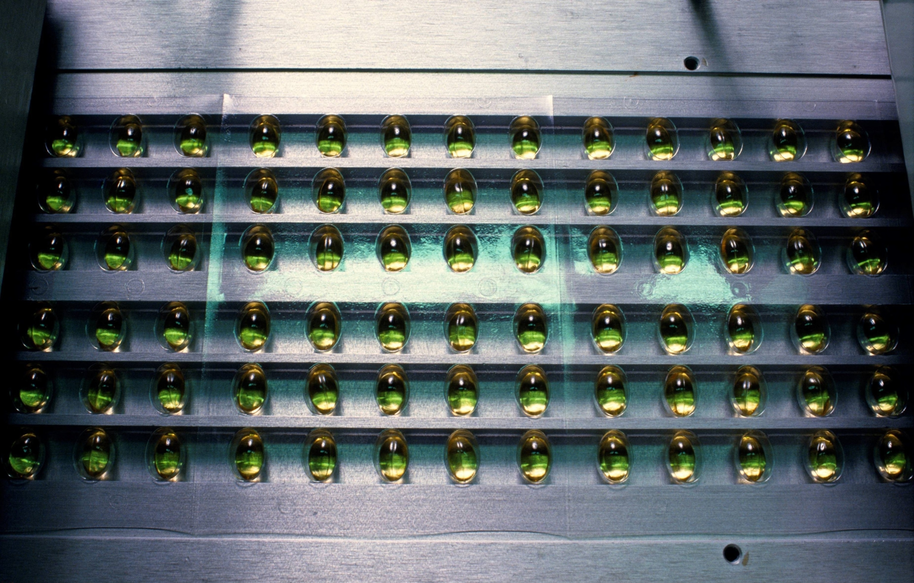 Yellow gel-capsules of vitamins during packaging.