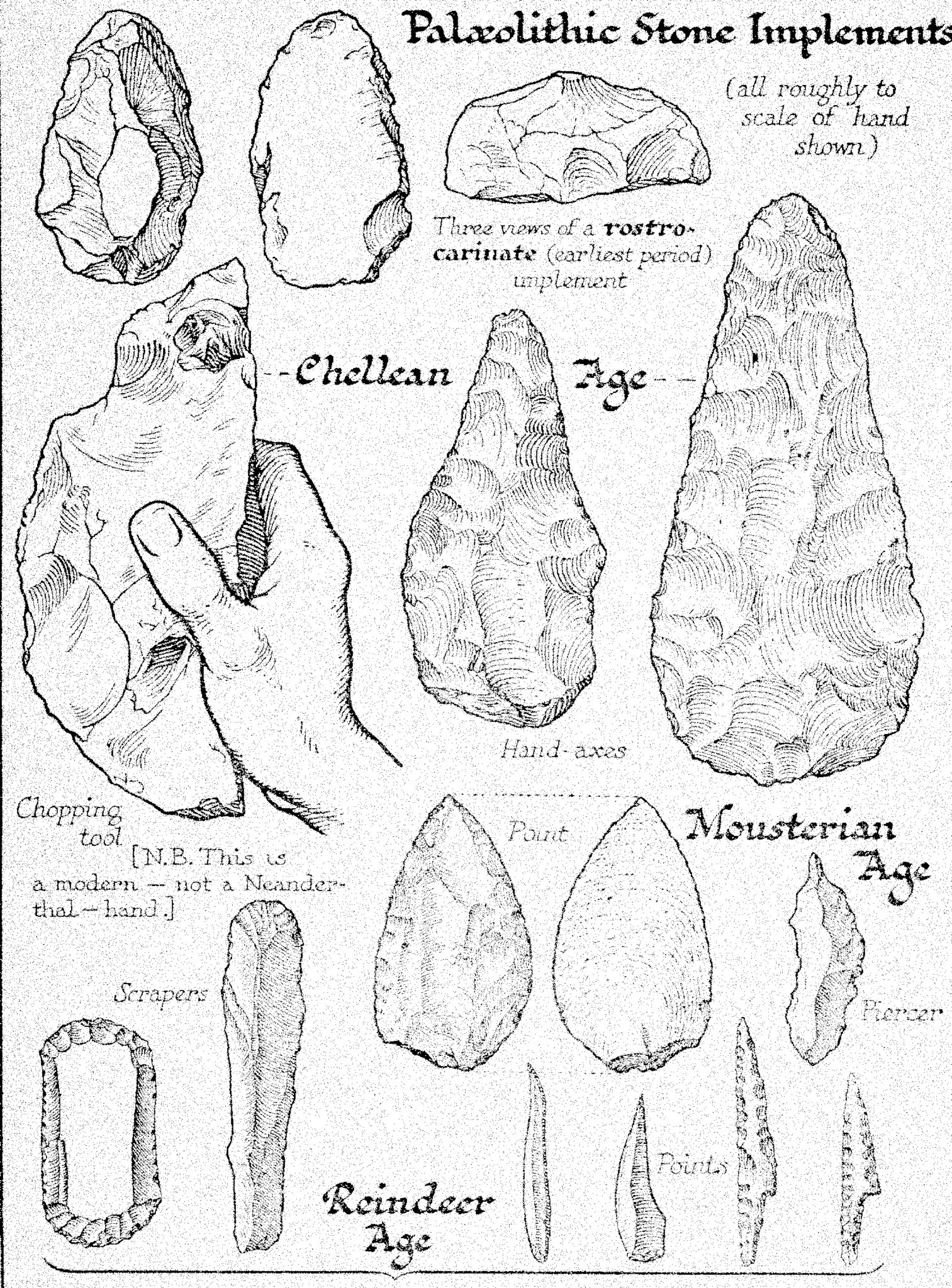 A drawing shows examples of the stone tools in the Upper and Middle Paleolithic industries