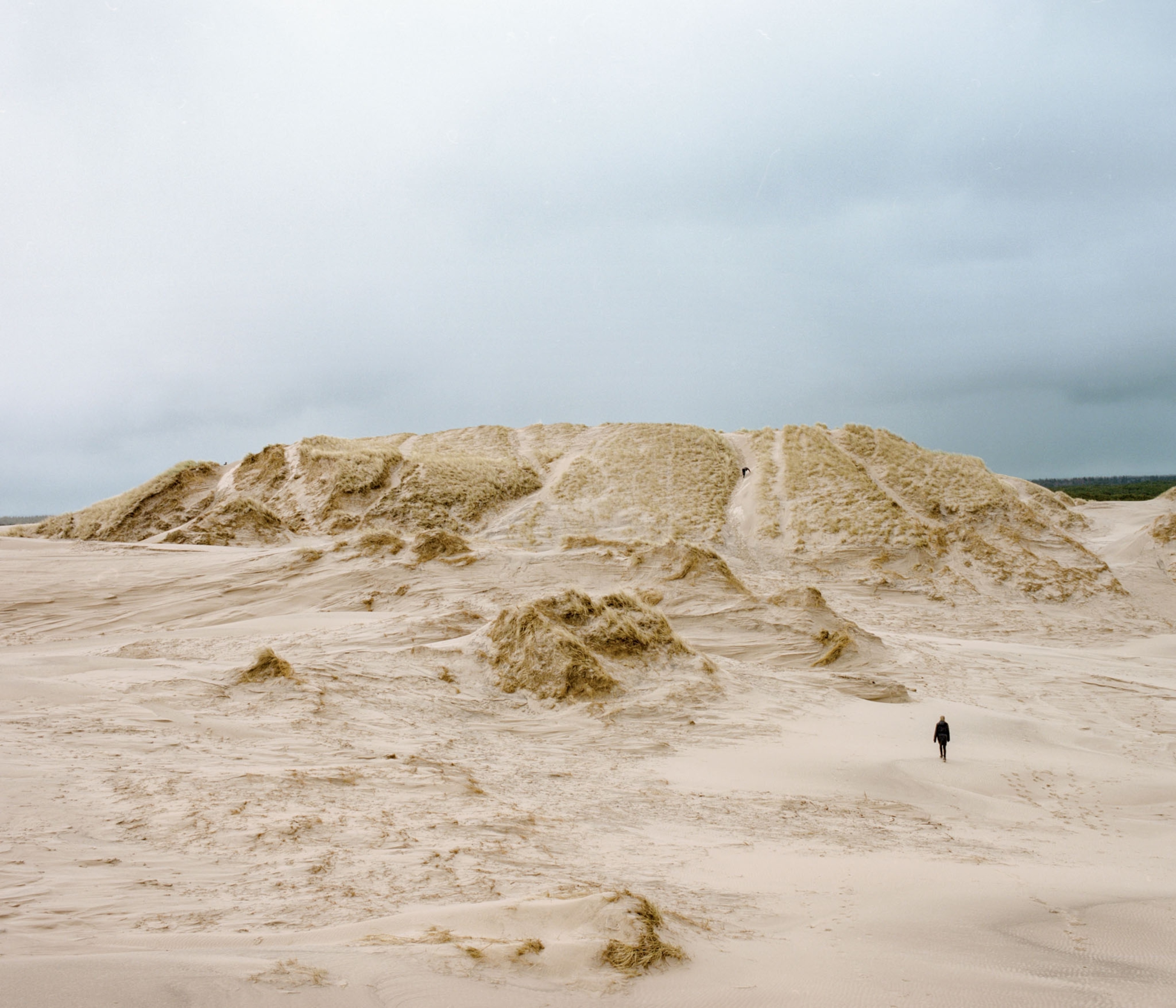 sand dune.