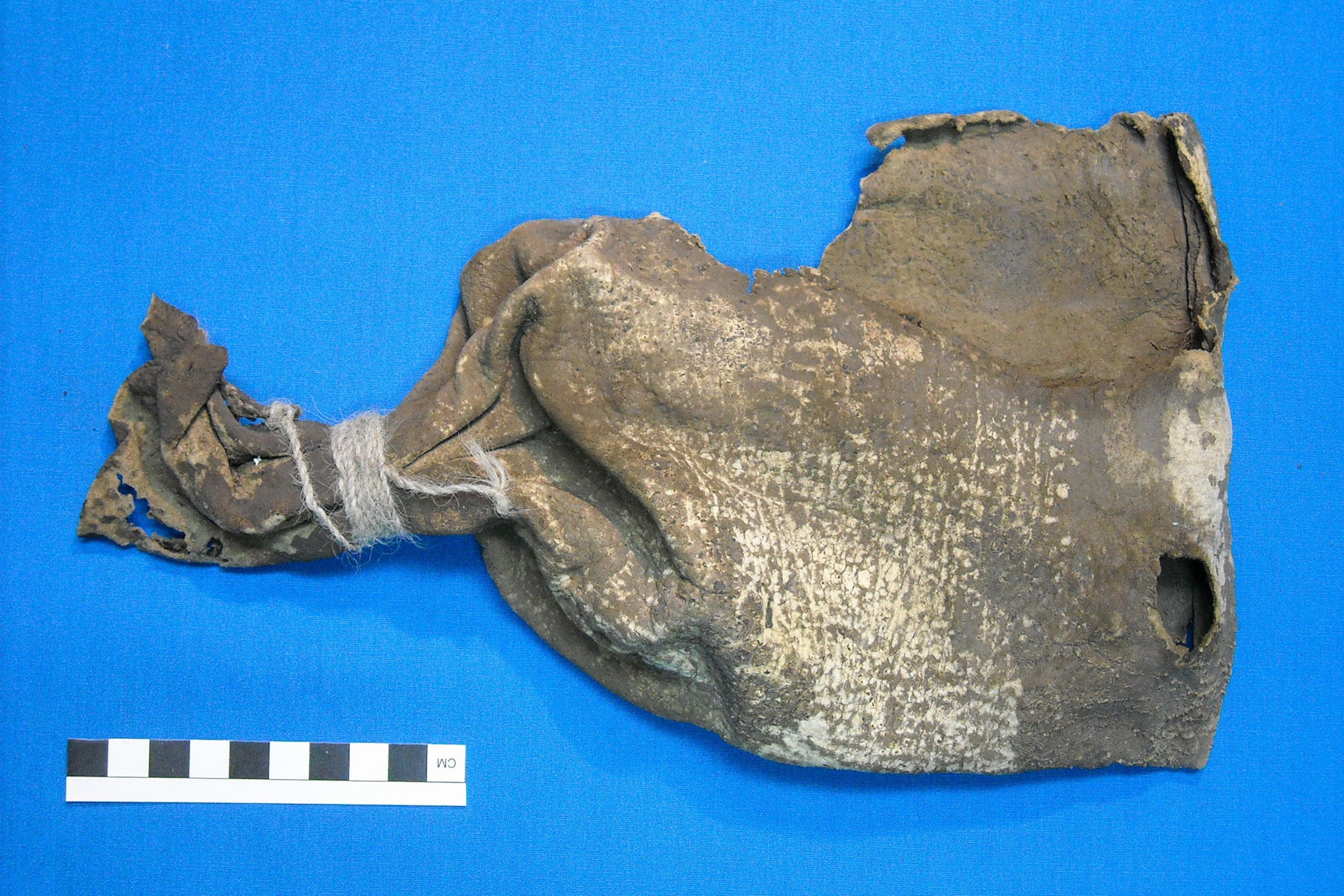 an artifact dating one thousand years back used in ayahuasca ceremonies