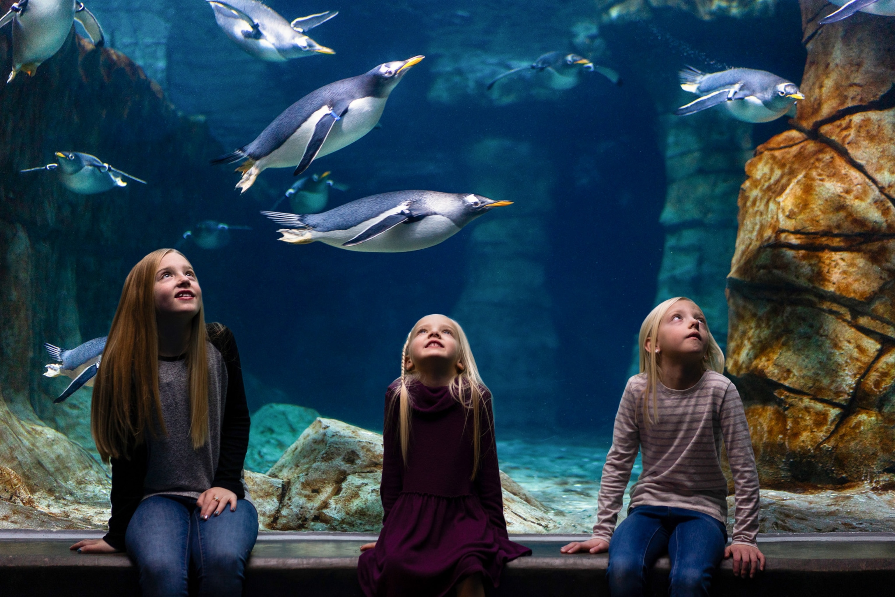 Three young girls look up at an aquarium with penguins swimming above them.