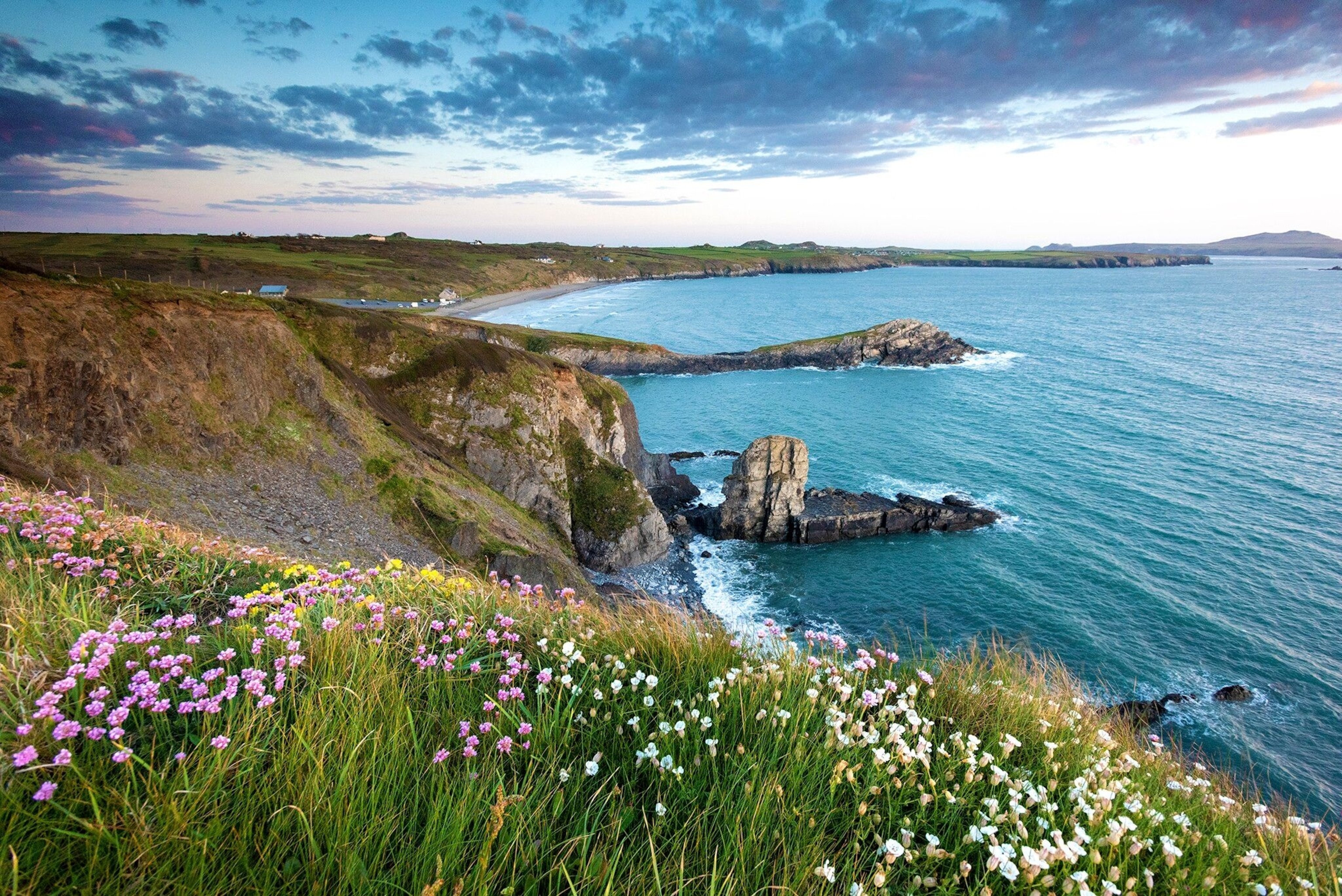 Wildlife lovers should make for Pembrokeshire in June for ample birdwatching opportunities.