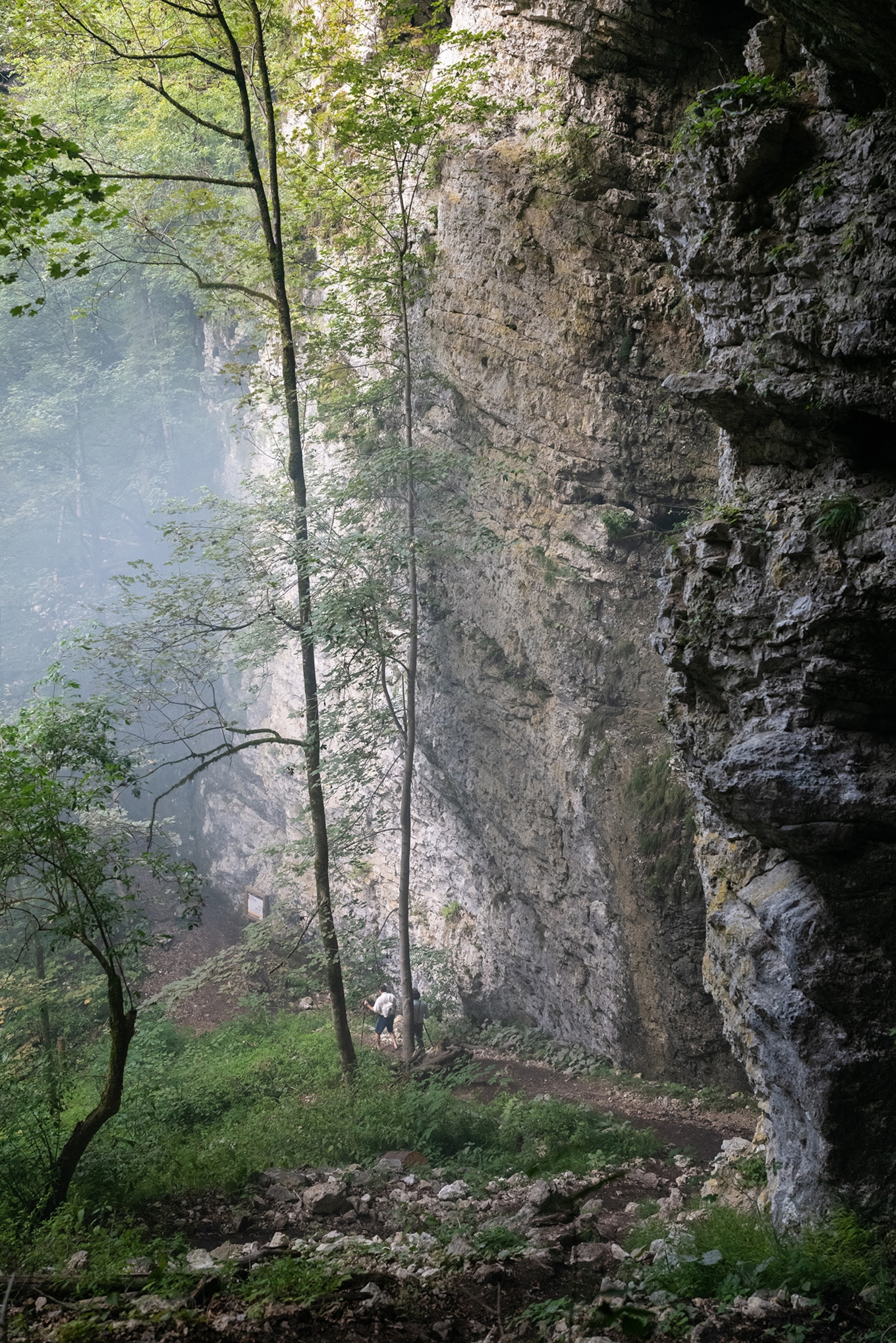 Two hikers moving down a forested hiking trail.