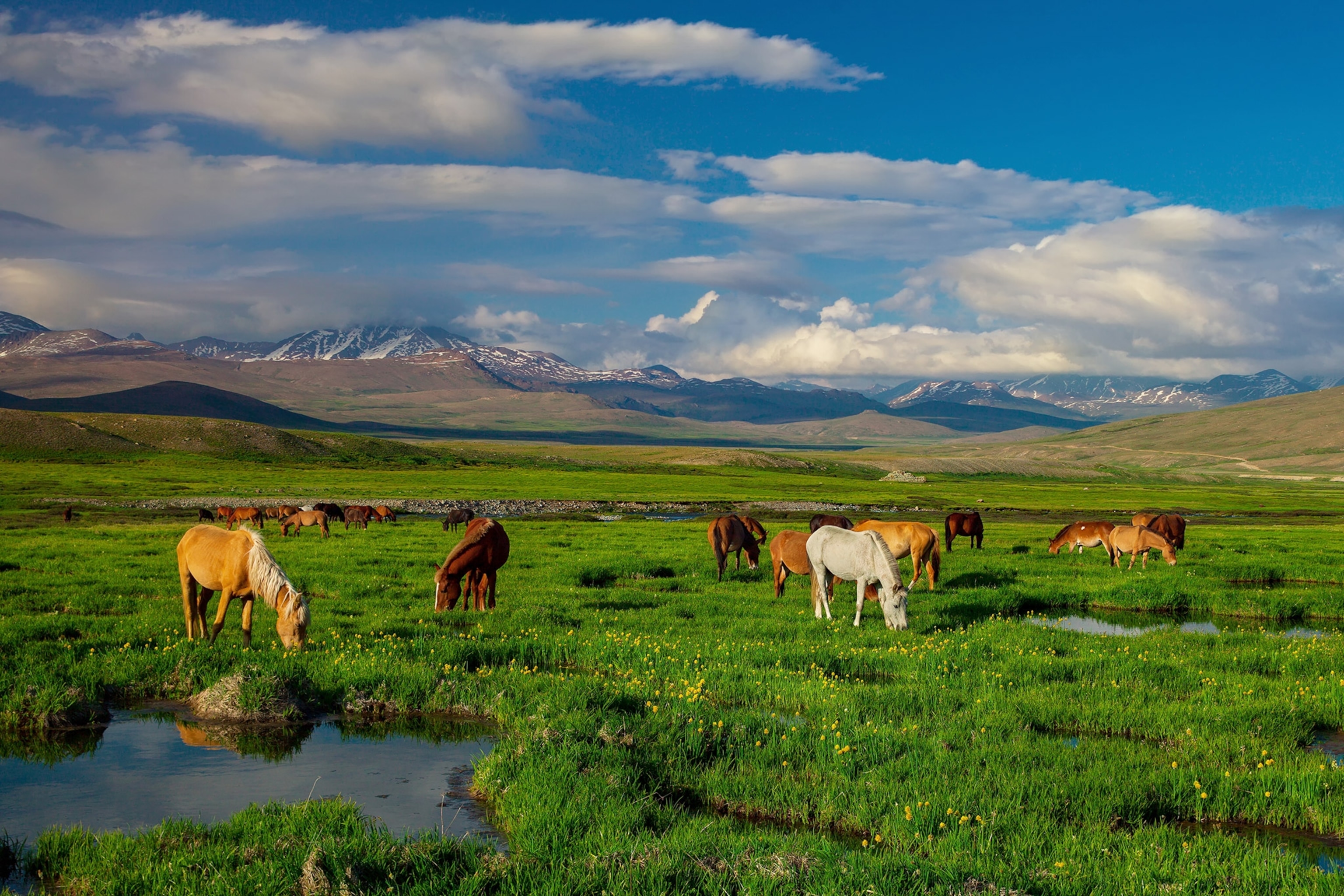 Deosai National Park, Pakistan