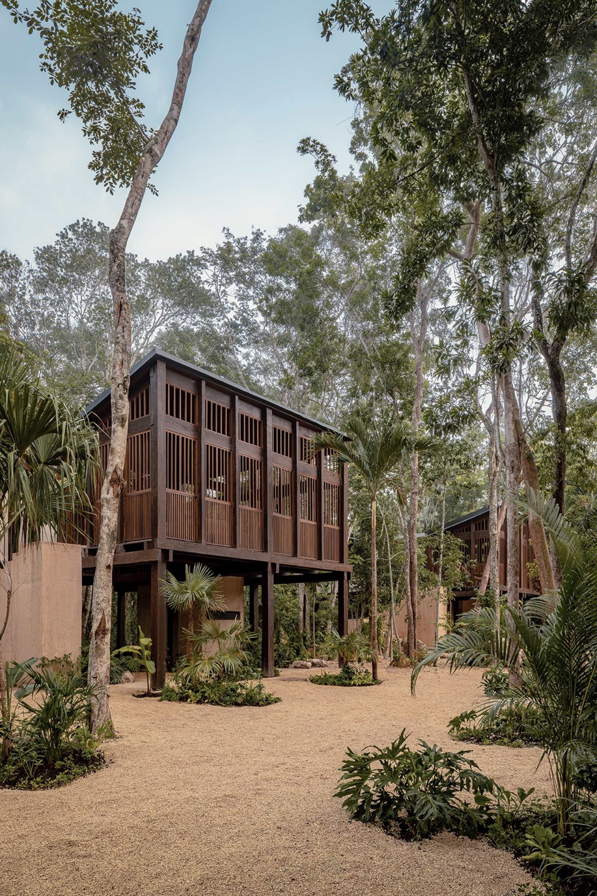 Elevated wooden treehouse surrounded by jungle flora and gravel stones