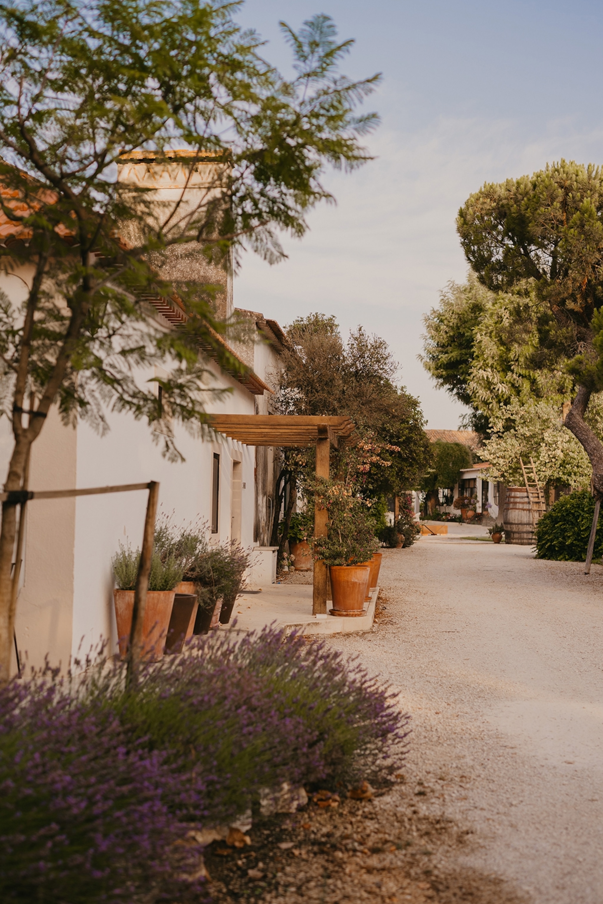 A gravel path past a mediterranean sandstone house with terracotta pots out front.