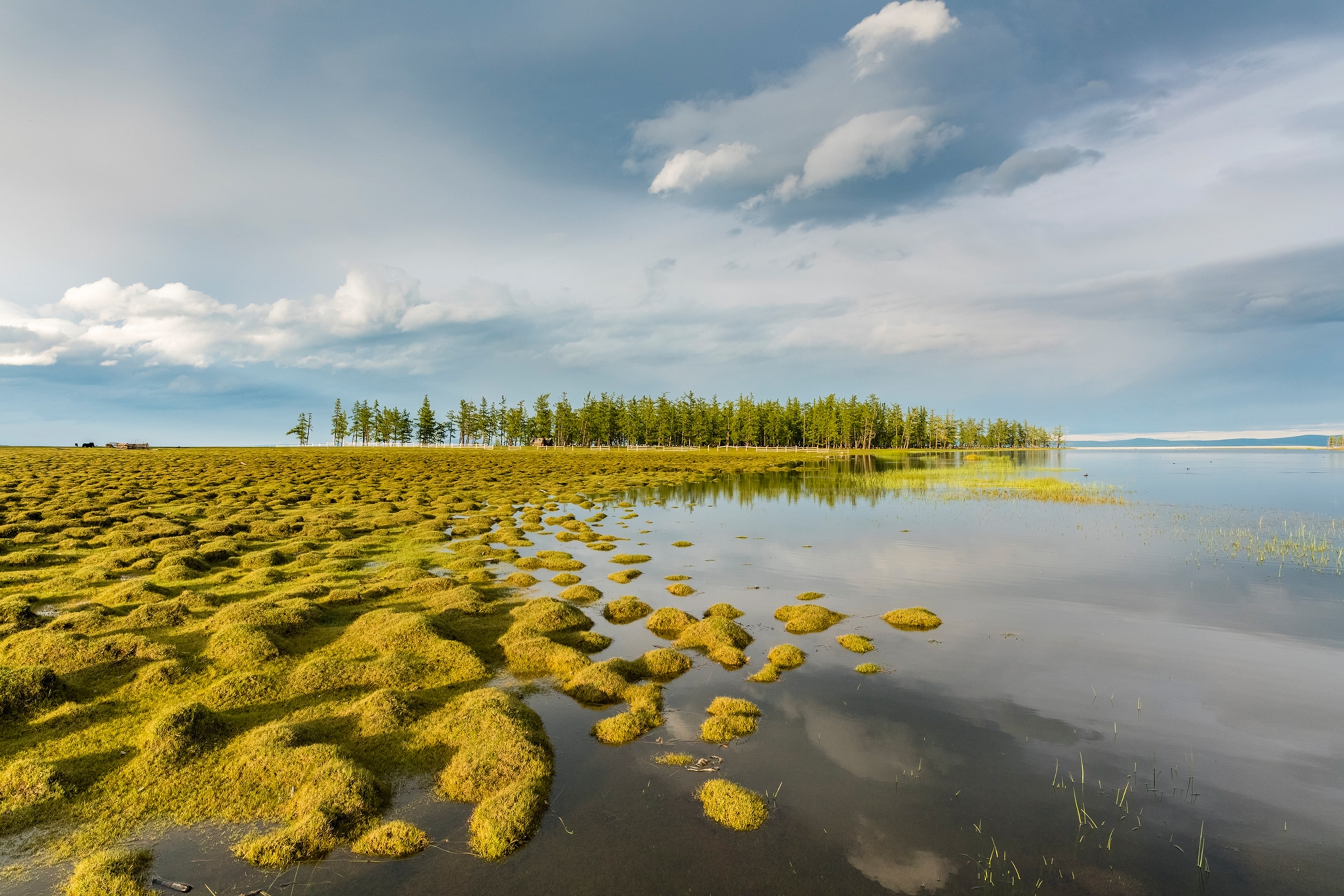Lake with green biodiversity on top and a forest in the background