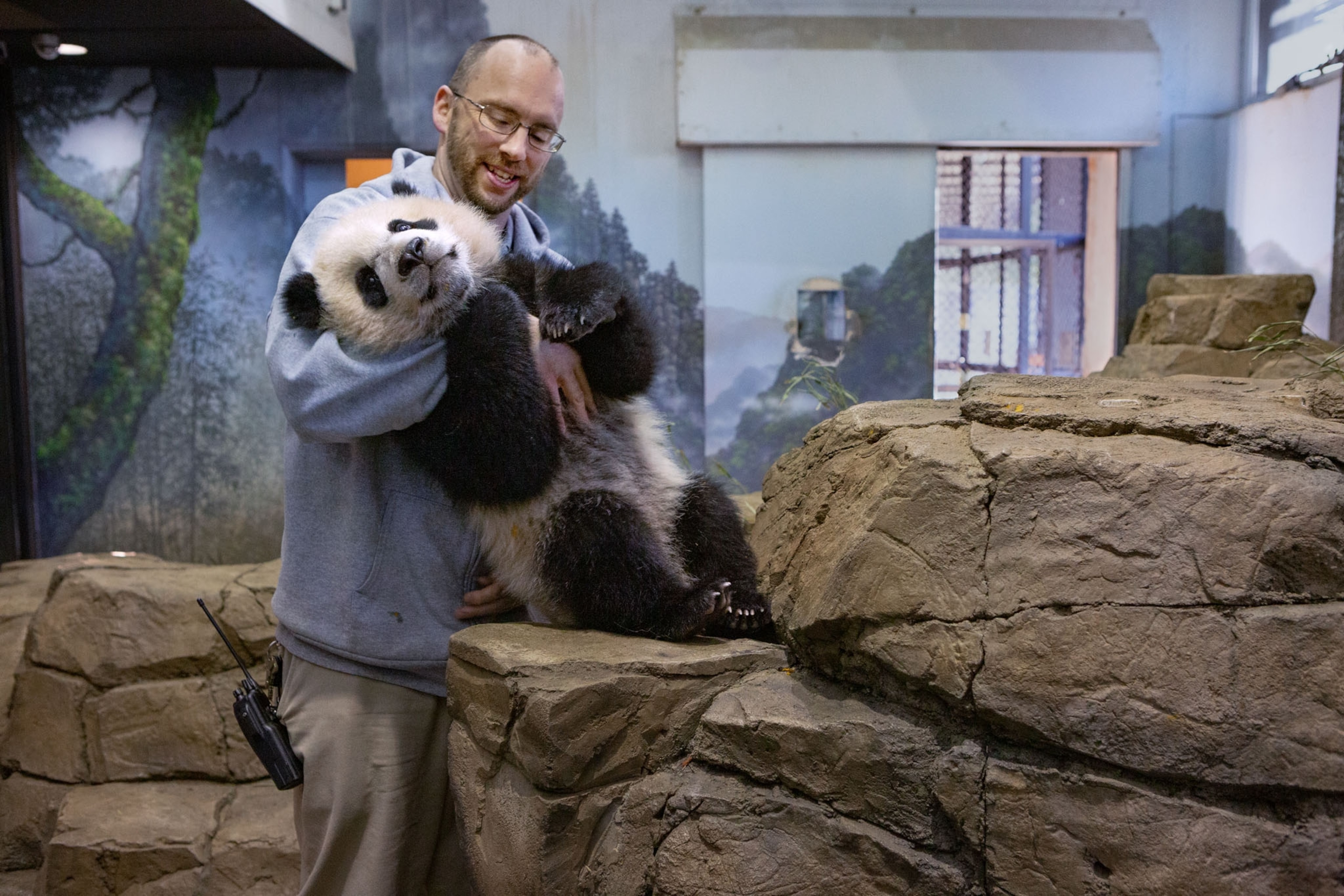 man in eyeglasses embracing panda cub.